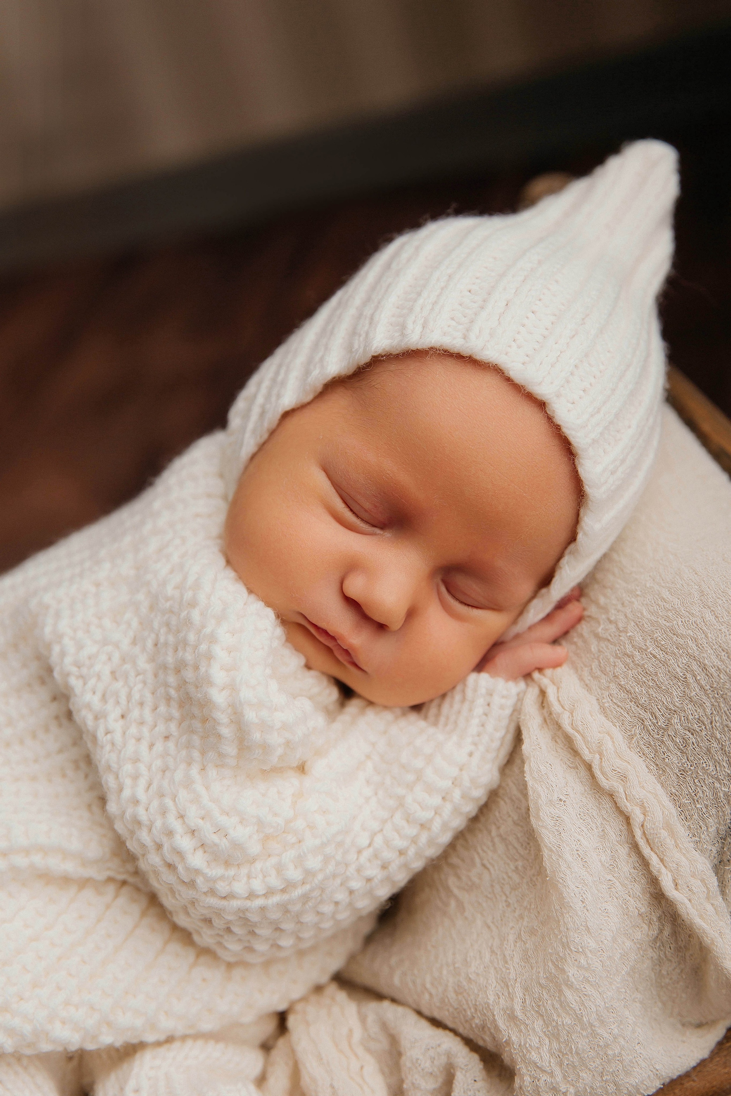 Лев. Фотограф новорожденных Тверь Диана Муляева