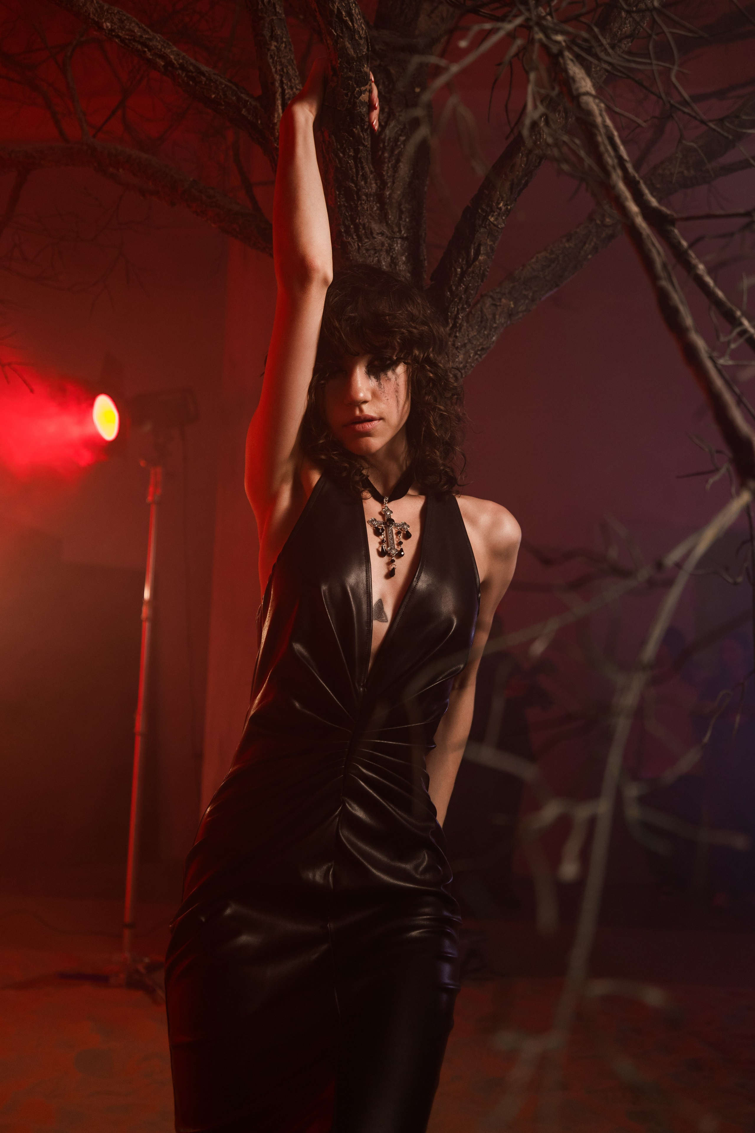 Студийное. Photomantis