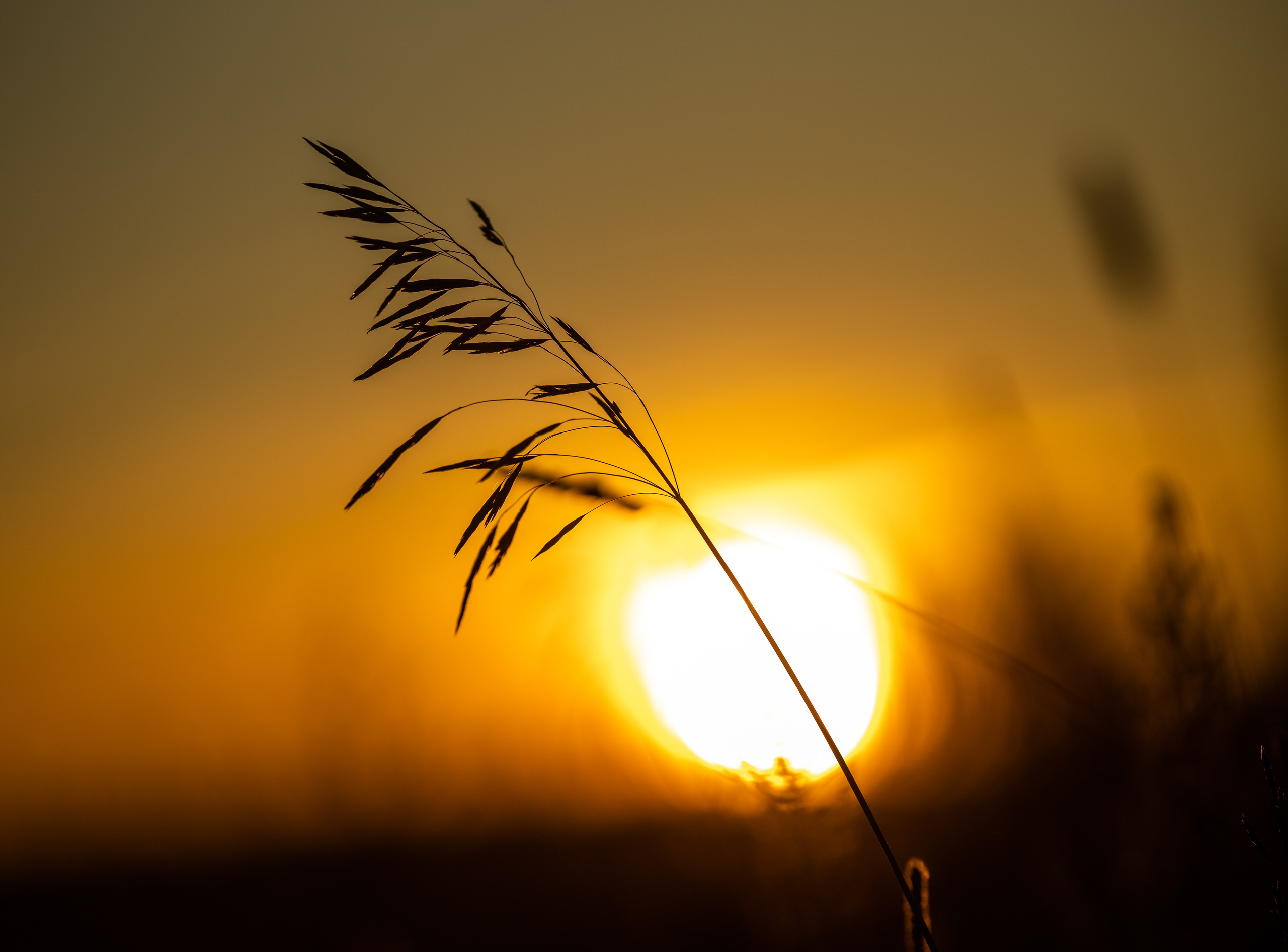 Природные пейзажи. Наталия Клевинскас портретный фотограф в Костроме
