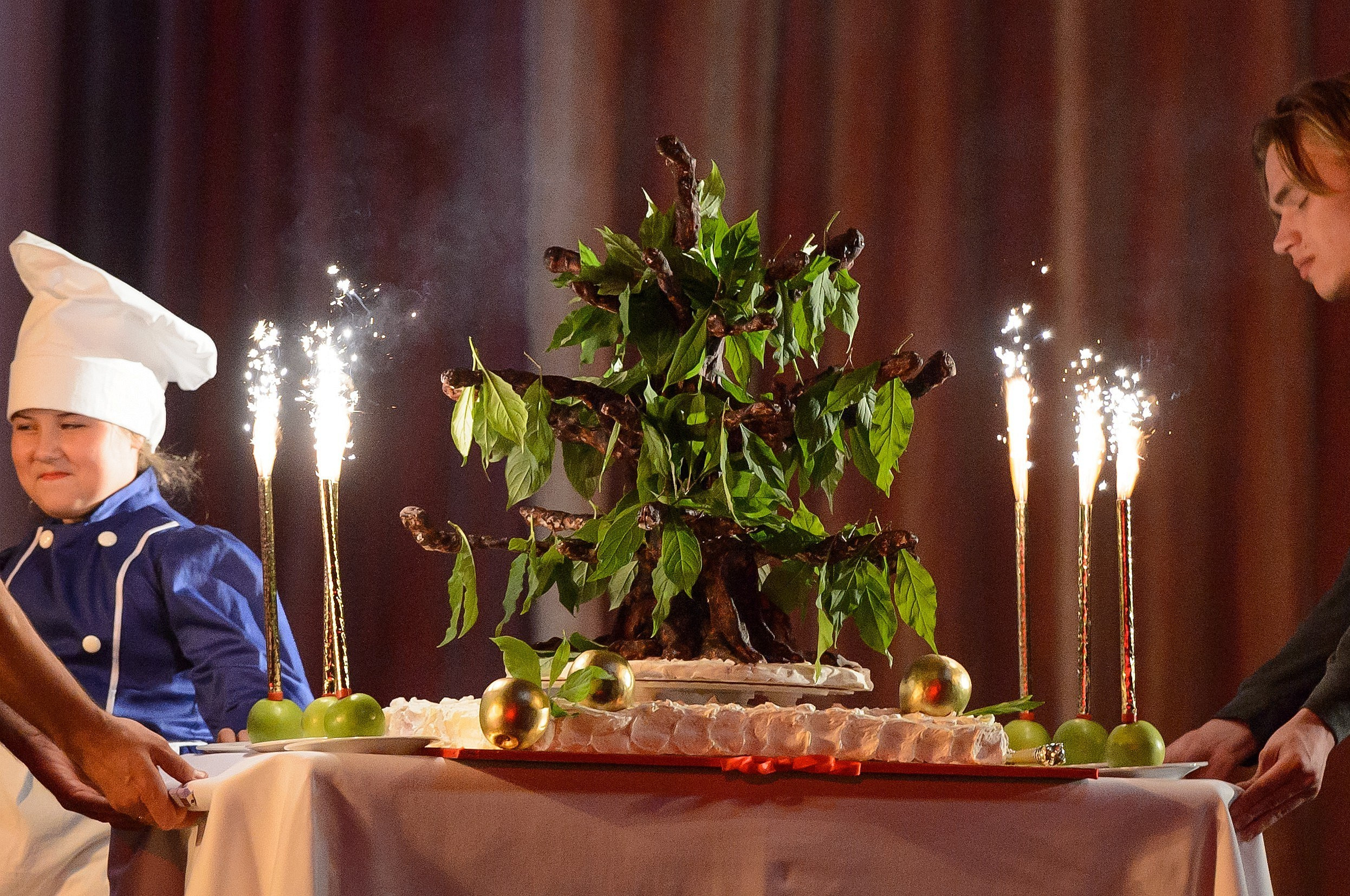 23 мая, концерт 5 лет, БКЗ. Золотое яблочко