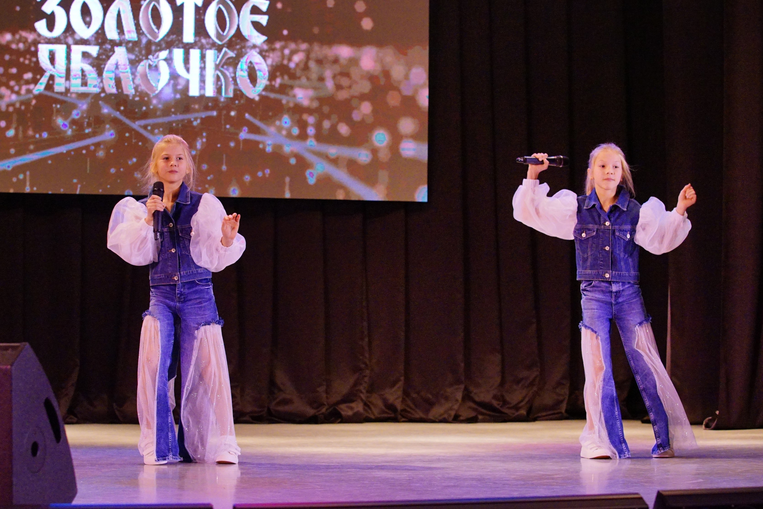 17 ноября, г. Новосибирск. Золотое яблочко