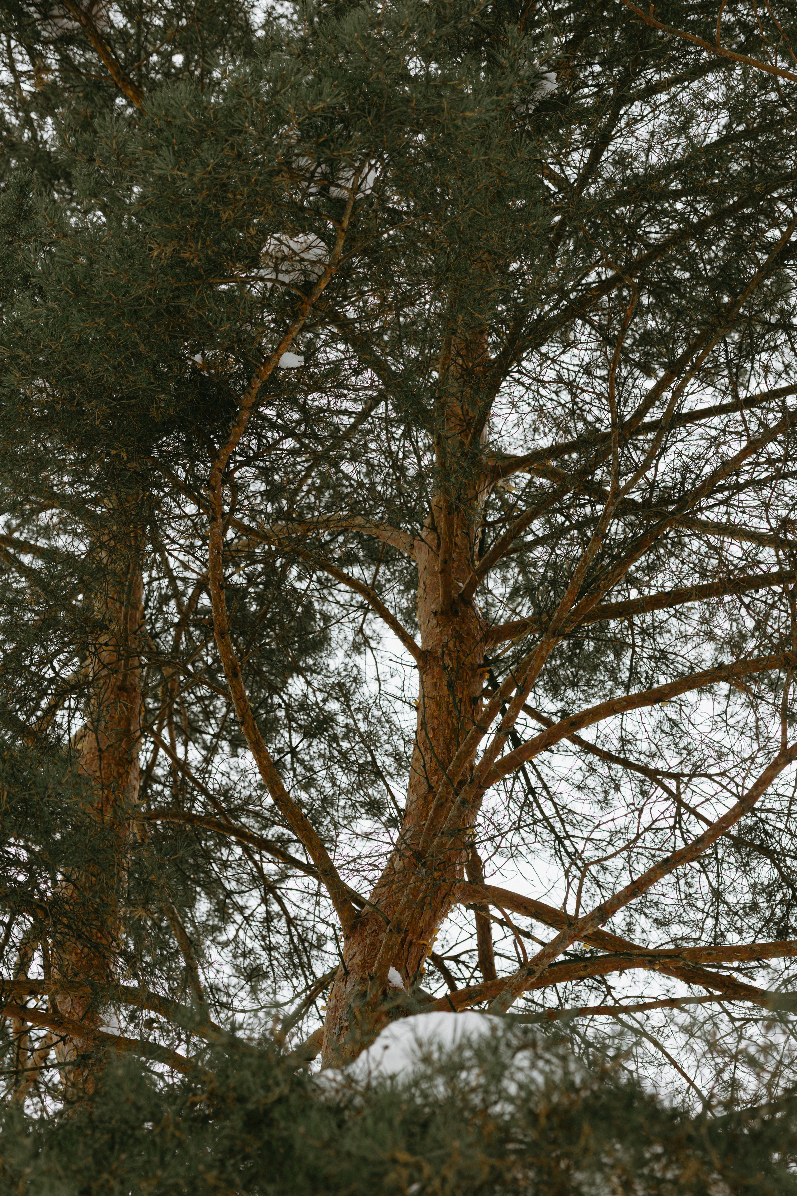 Изготовление куклы к Масленице. Про любовь