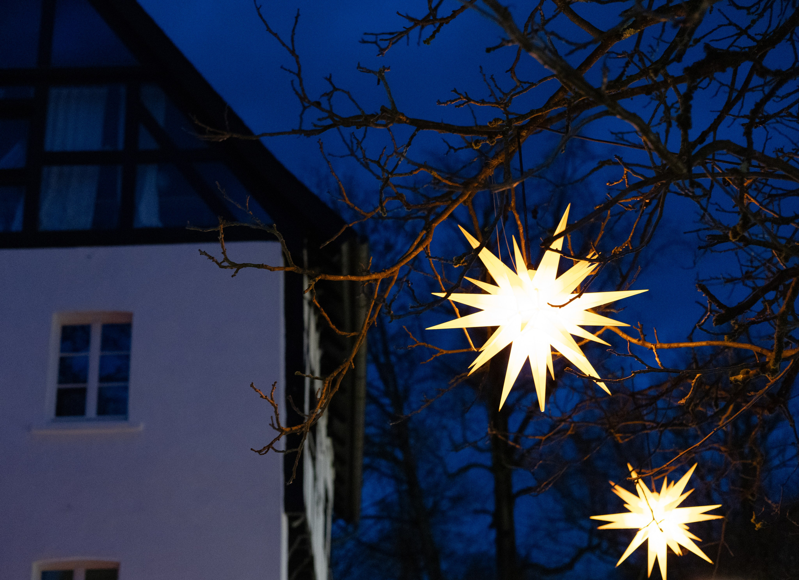 Christmas Fairy Tale. ITMAG.ME | Visual Art