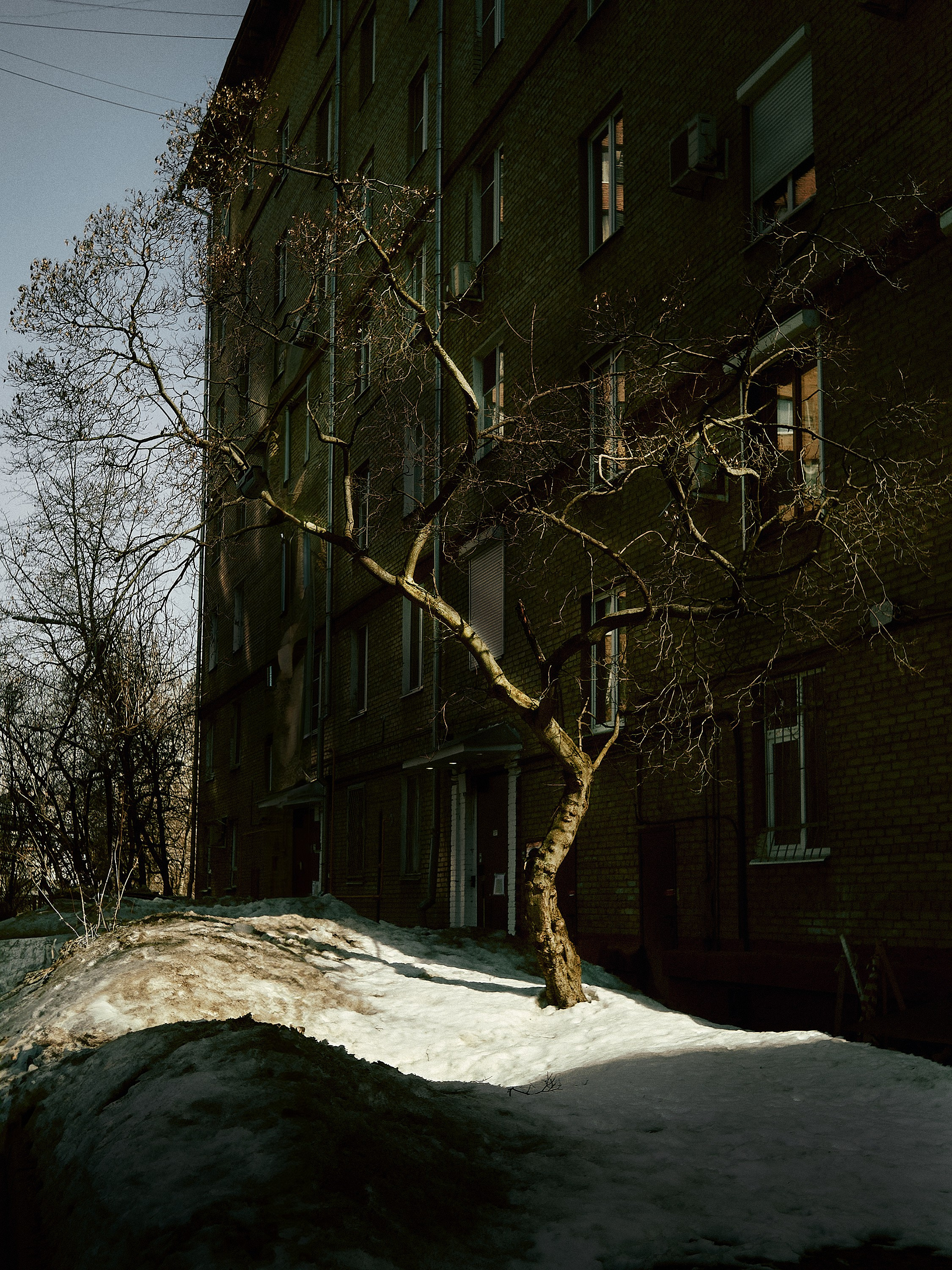 Формы Дерева 22г -…. Фотограф и оператор мероприятий, концертов и портретов в городе Москва