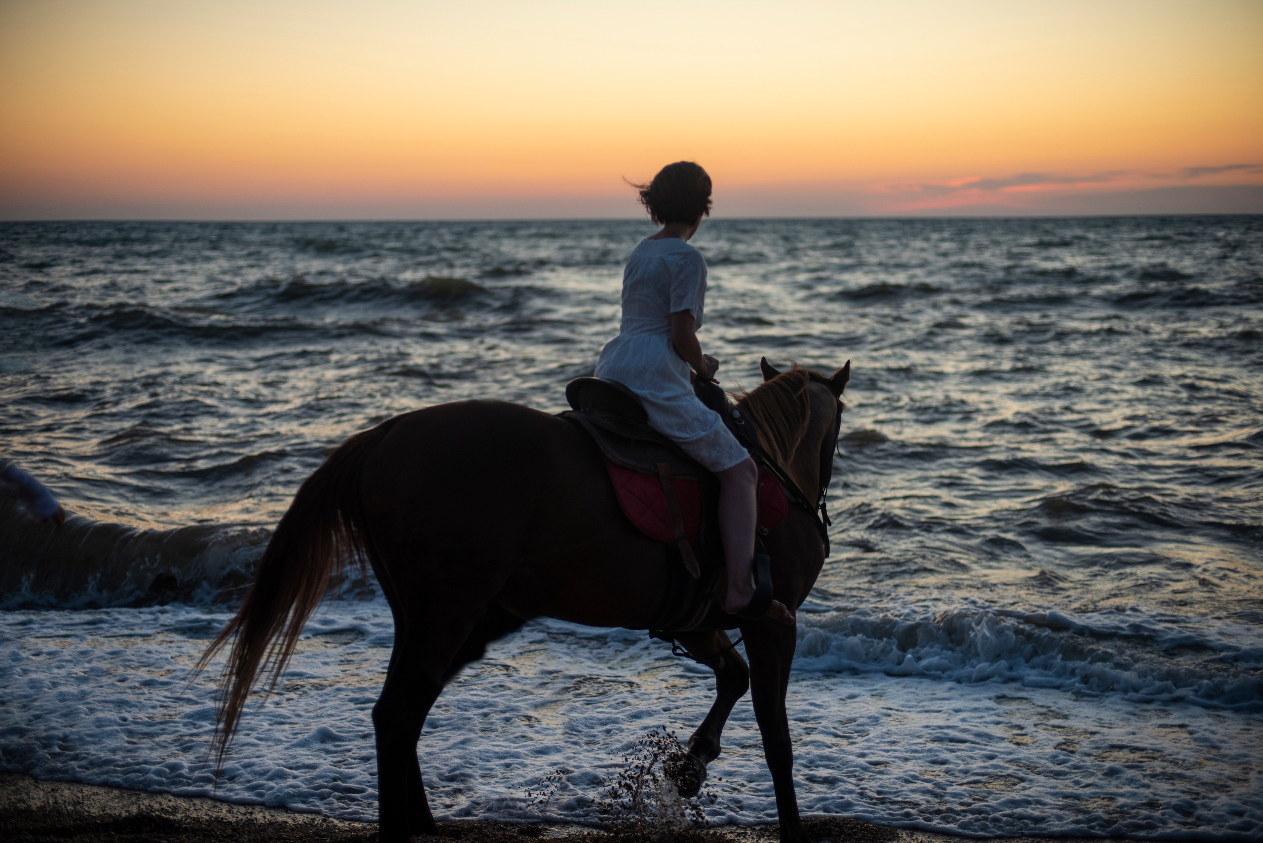 Семейная фотосьемка в стиле "конная прогулка" на фоне моря