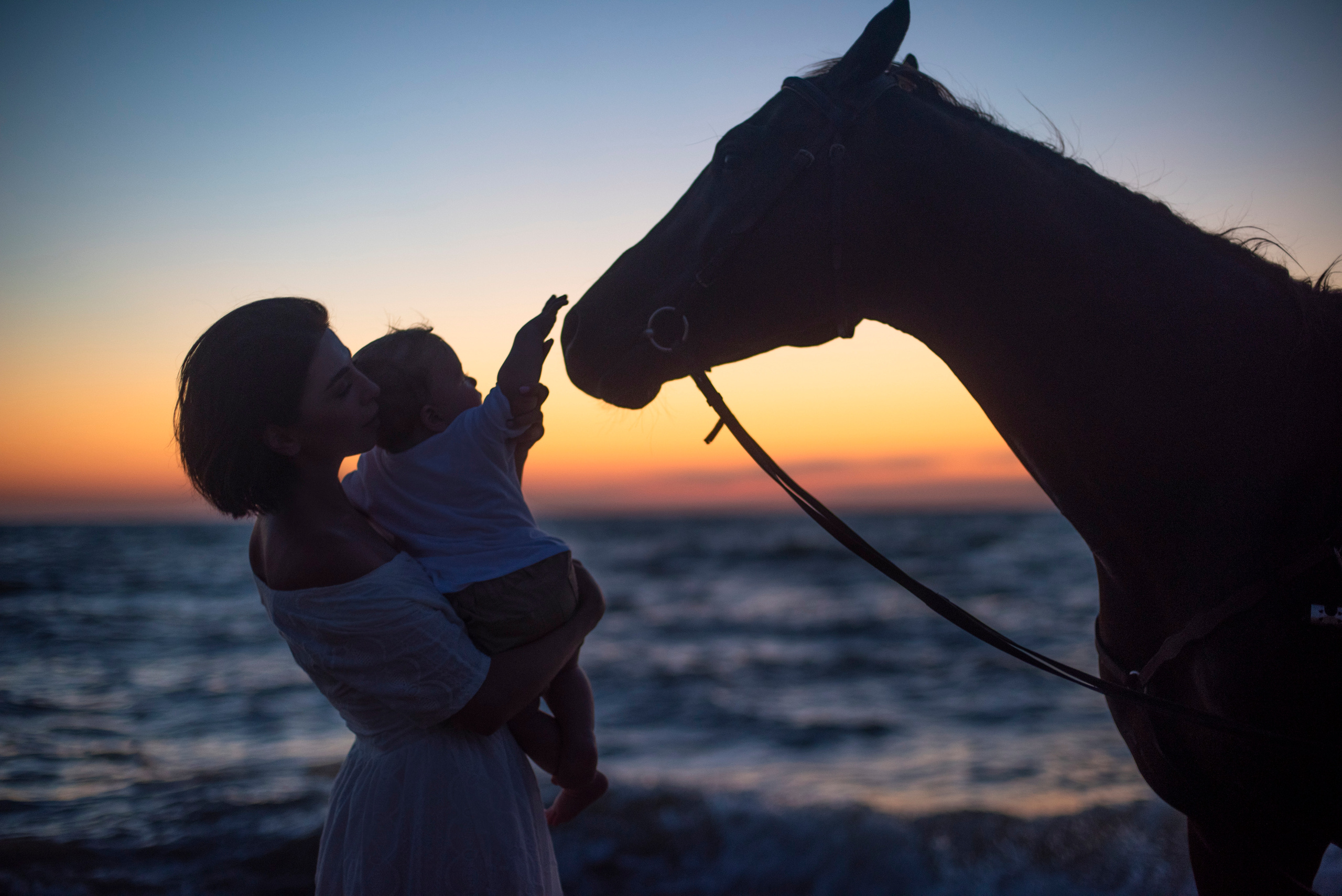 Подарочные сертификаты на проведение фотосессий