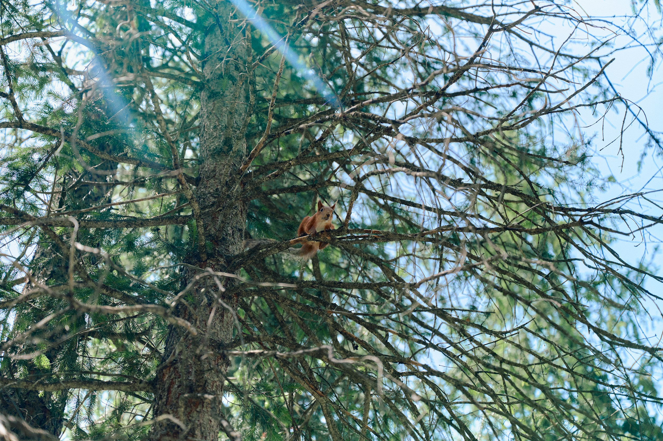 2025 — путешествия на цифру. Фотограф в Алматы — Алексей Коньков | Репортаж, свадьбы, портреты