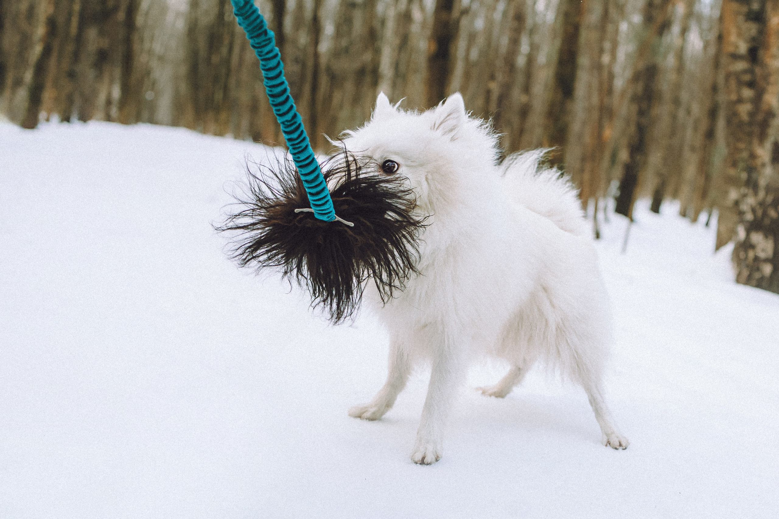 Шани и ее семья