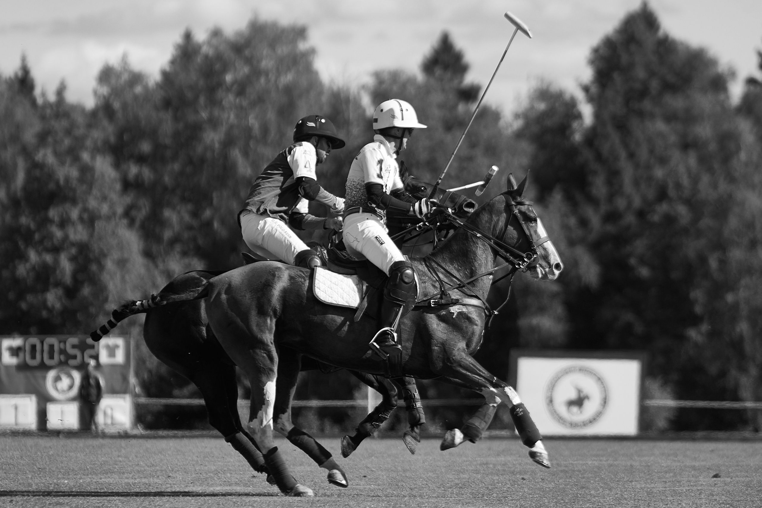HORSE POLO. Фотограф Наталья Леонова