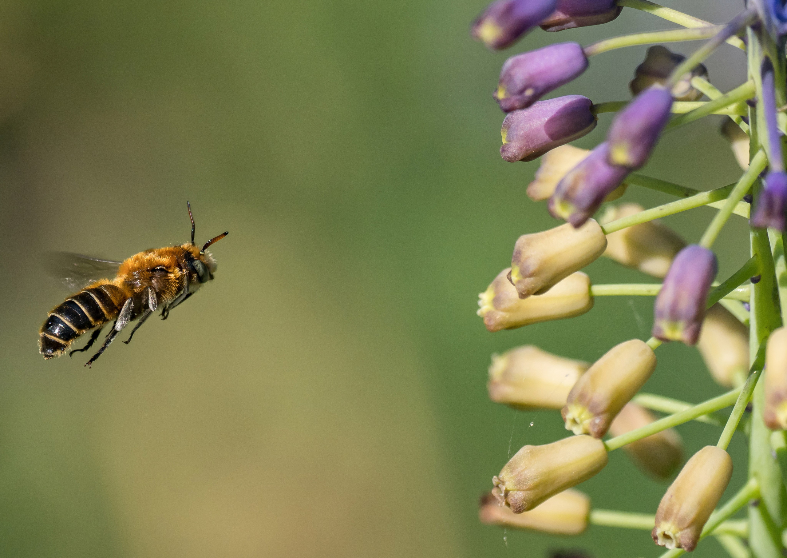 Остальные. Oles Paritskiy