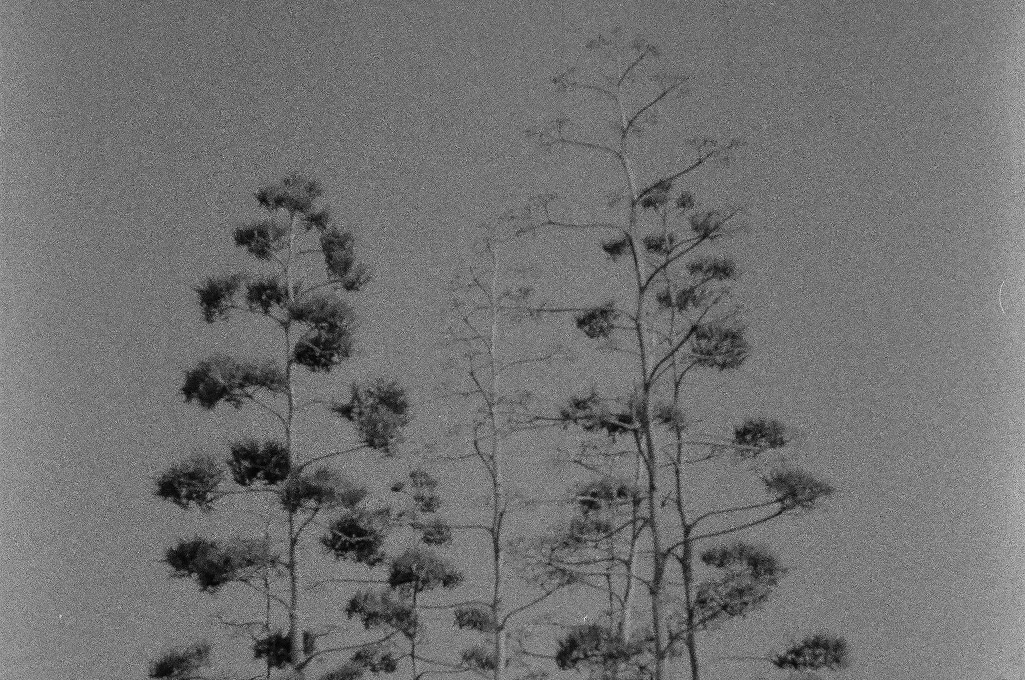 Israel 2025. Свадебный и портретный фотограф в Санкт-Петербурге