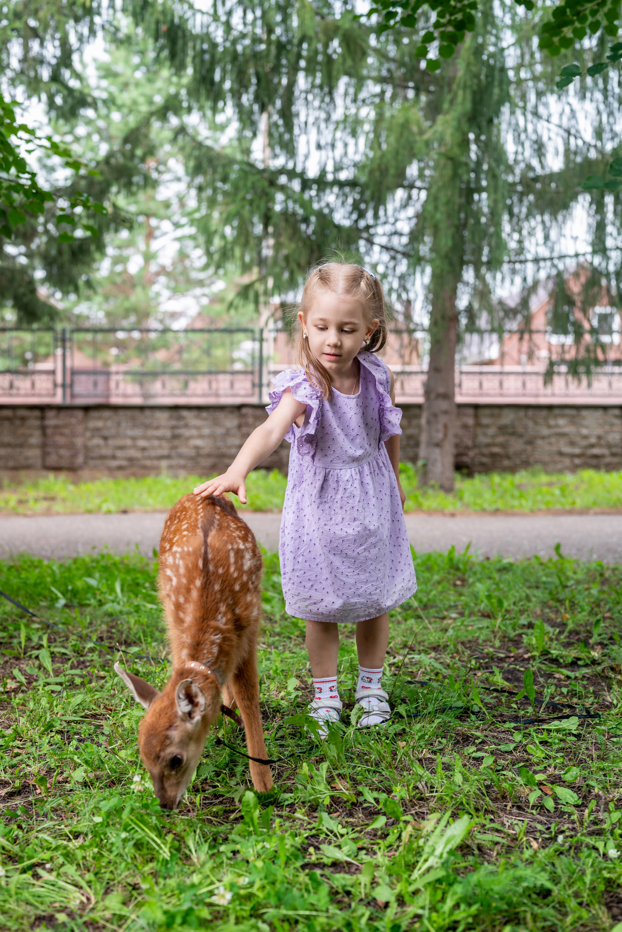 Фотопроект *Оленёнок Бэмби*. Фотограф в городе Салават