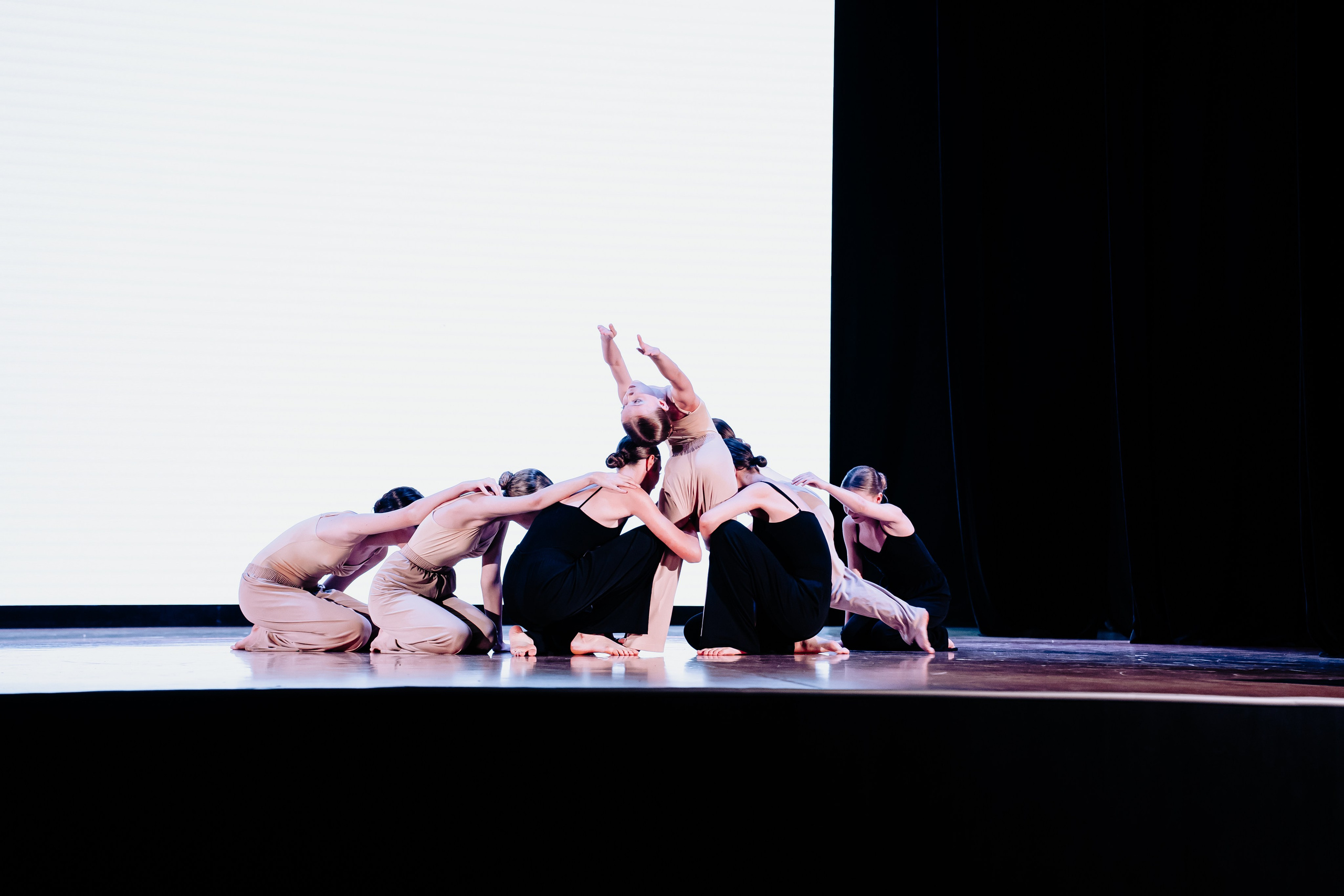 Концертная форма. Фото