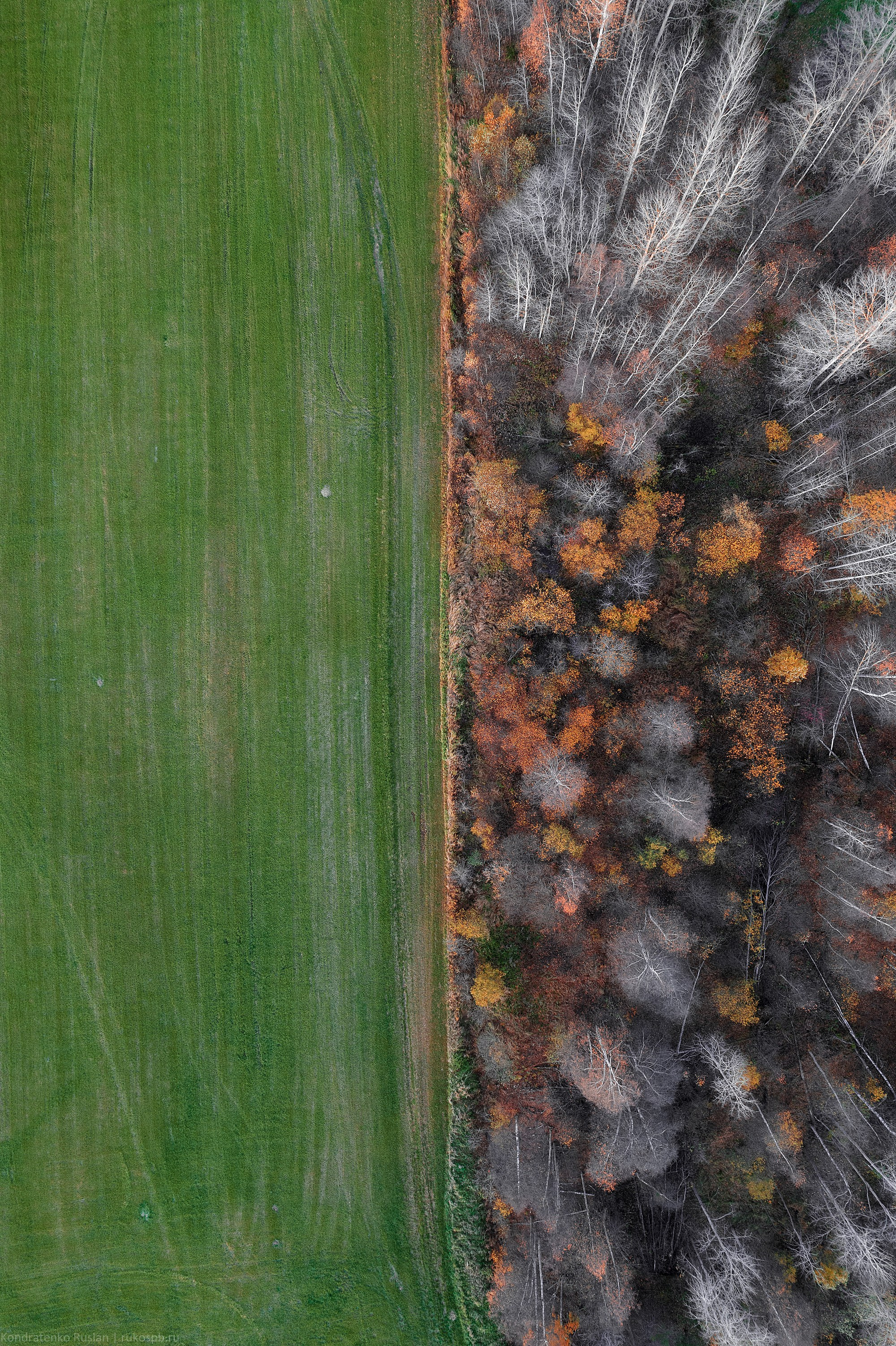 Ленинградская область. Архитектурный и пейзажный фотограф Кондратенко Руслан, Санкт-Петербург