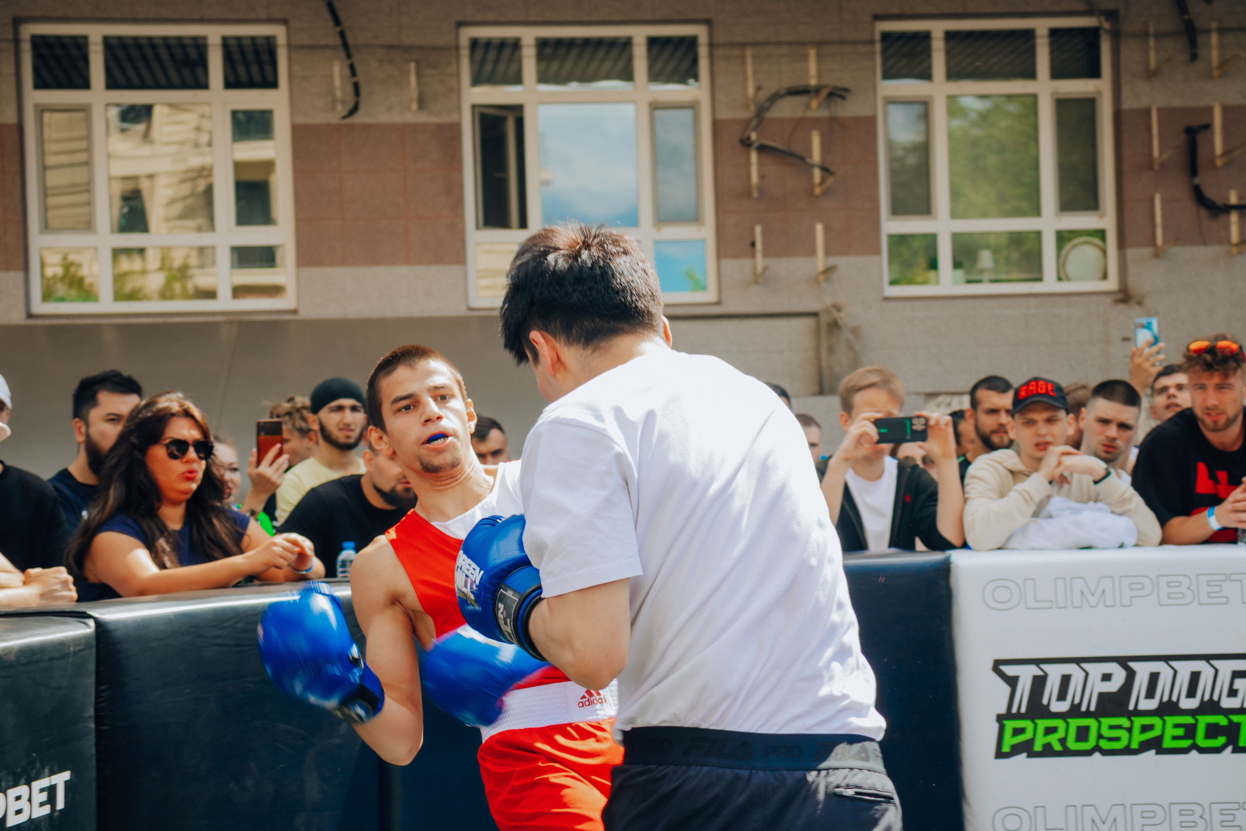 Открытый ринг. Анастасия Тен