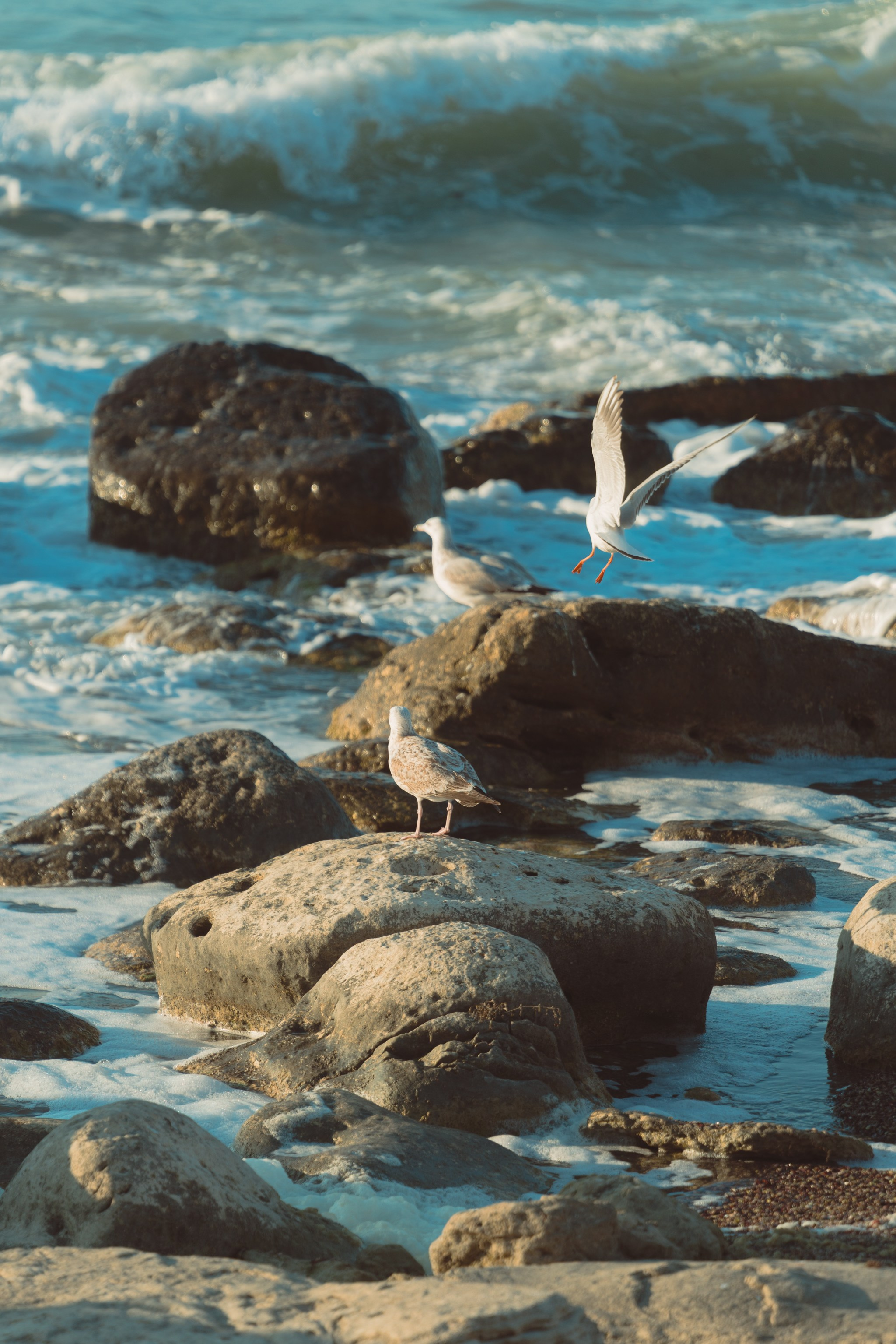 Актау, Ноябрь 2024