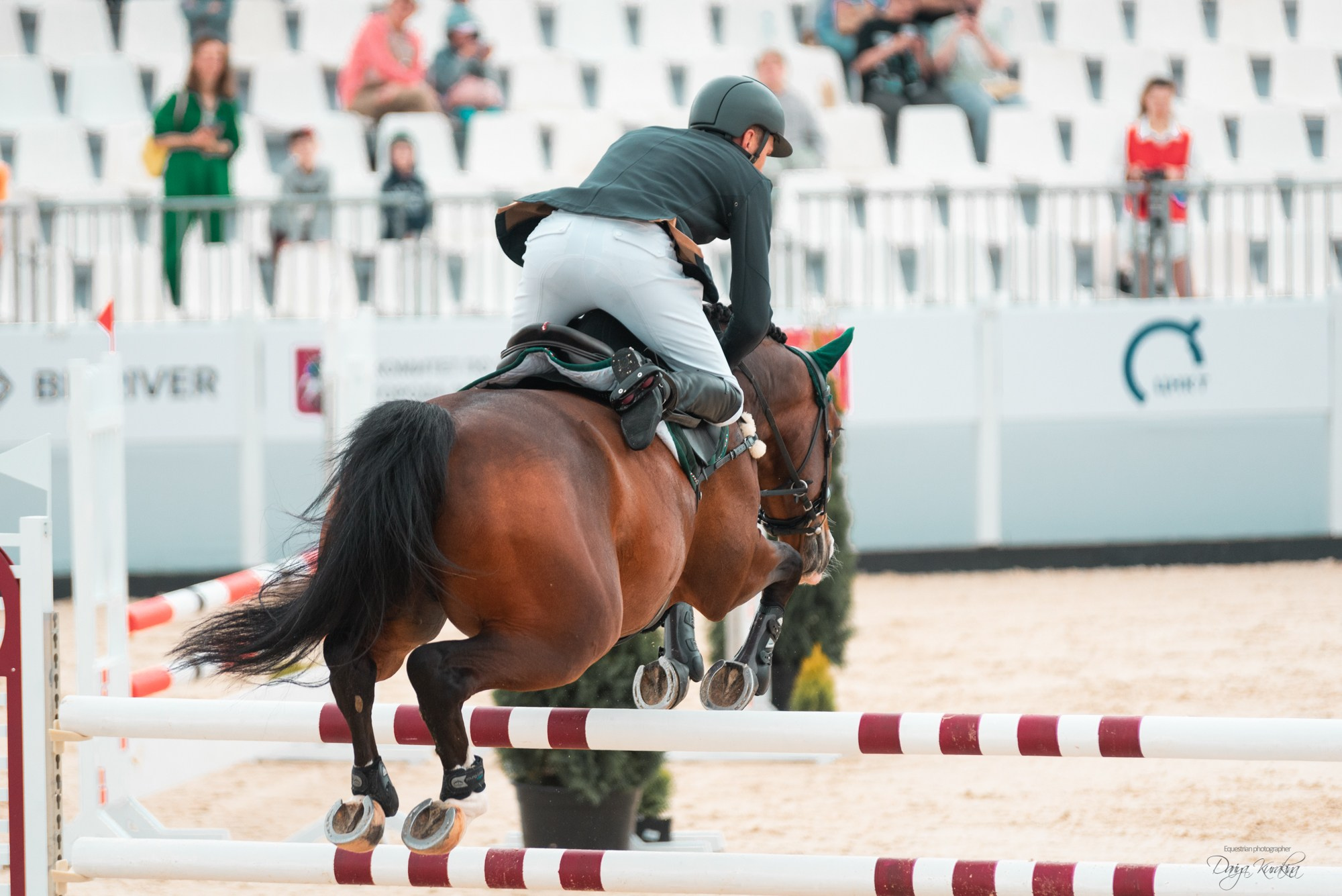 BITRIVER CUP 2023. Конный фотограф Куракина Дарья • Фотосессии с лошадьми