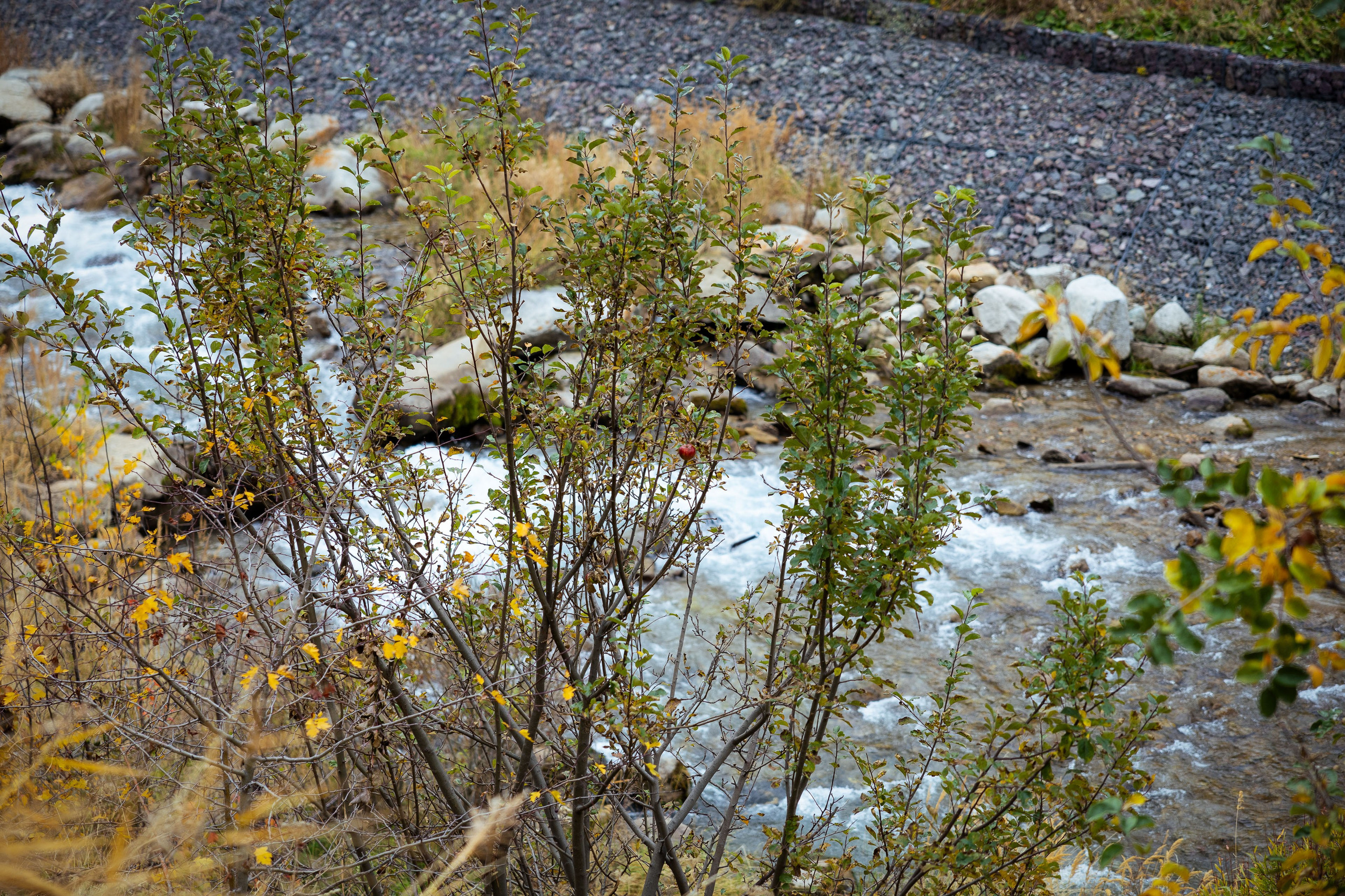 Казахстан (осень 2024). Фотограф Виноградов Константин