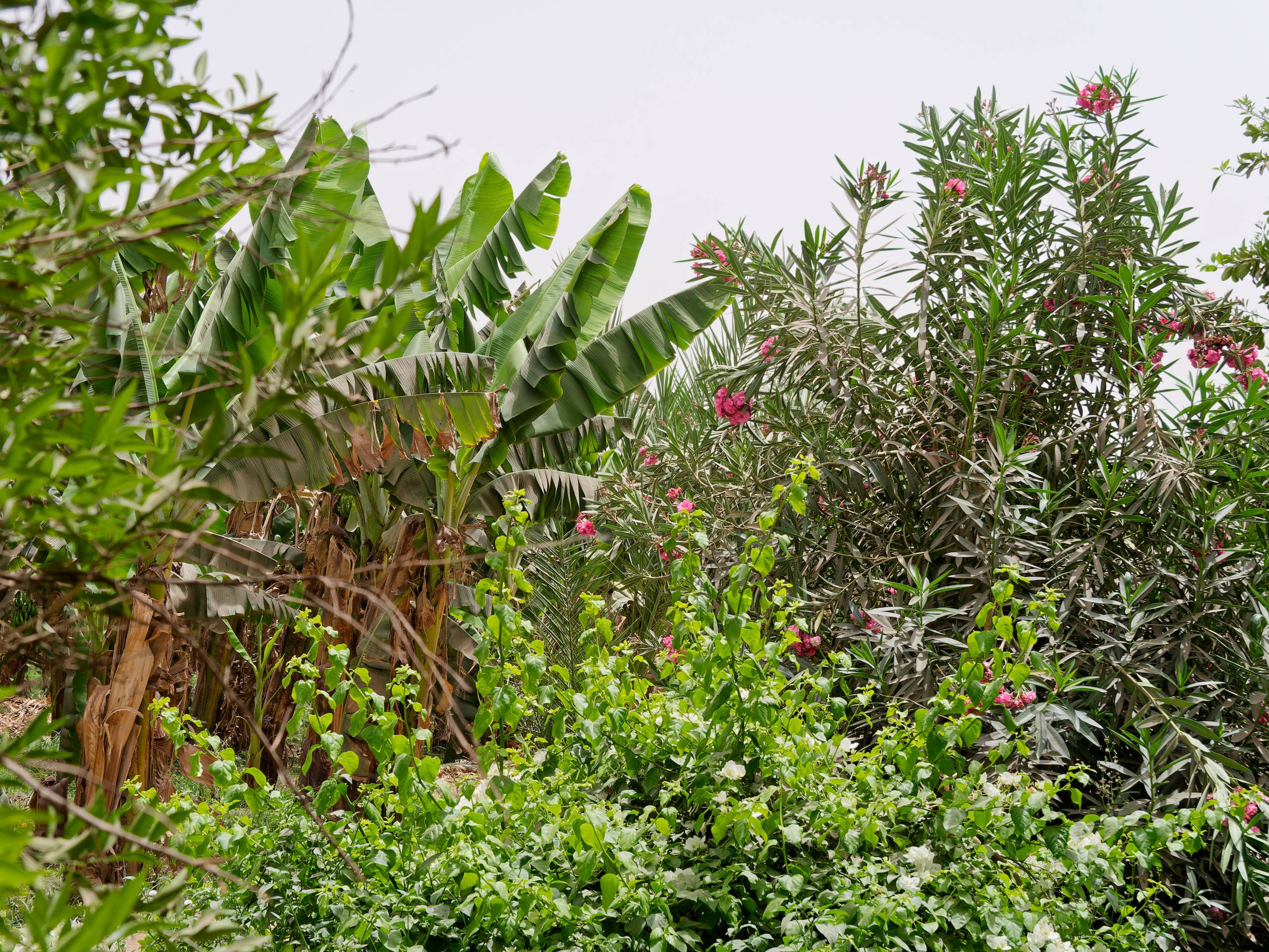 Луксор 2022, Нил, Долина царей. Избранные фотографии