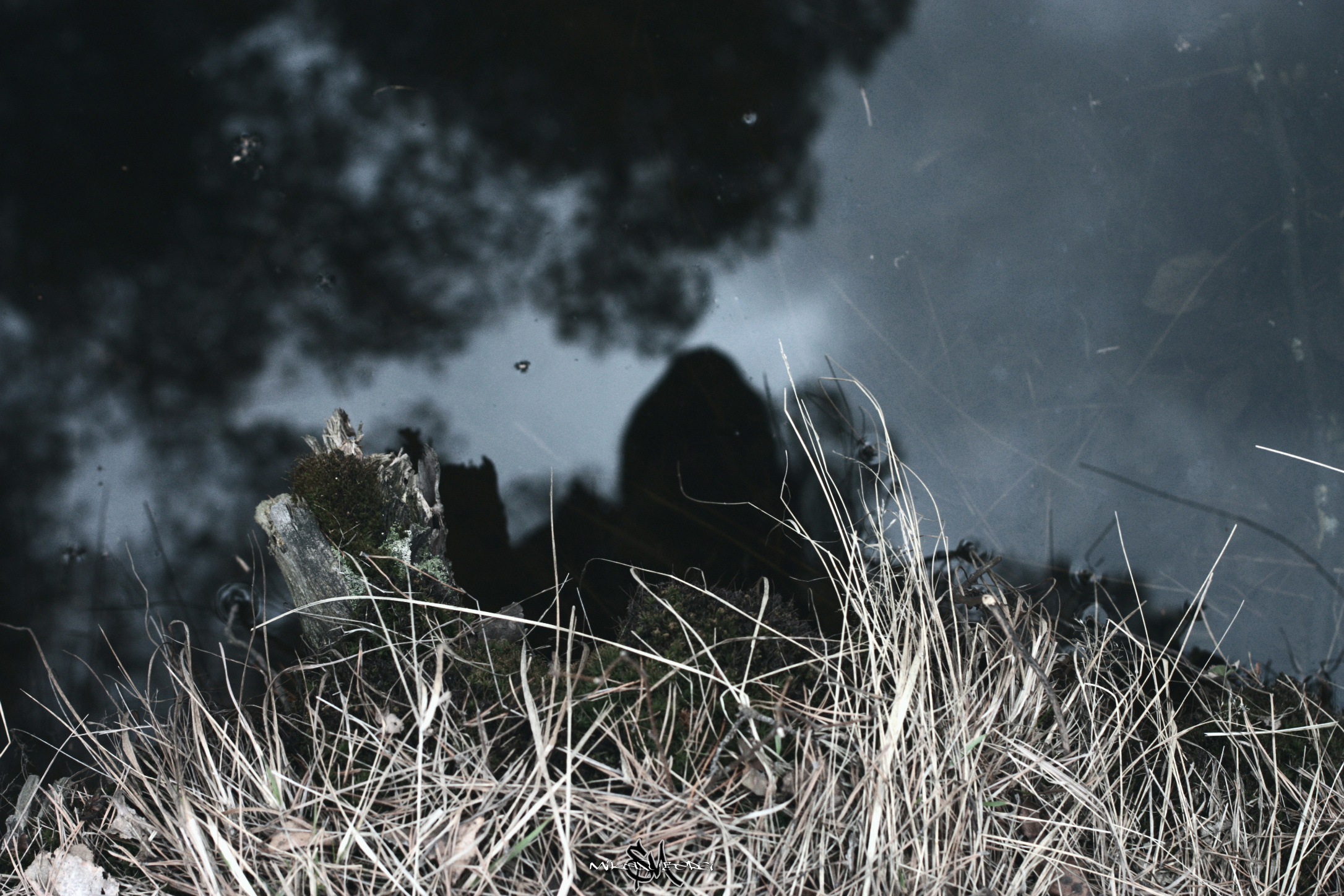 • Природа •. 𝐊𝐈𝐍𝐊. Фотография, как персональный фетиш