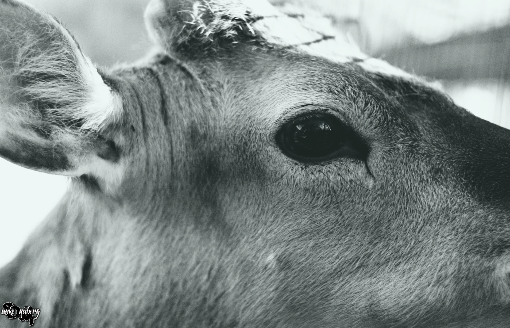 • Уличная съёмка •. 𝐊𝐈𝐍𝐊. Фотография, как персональный фетиш