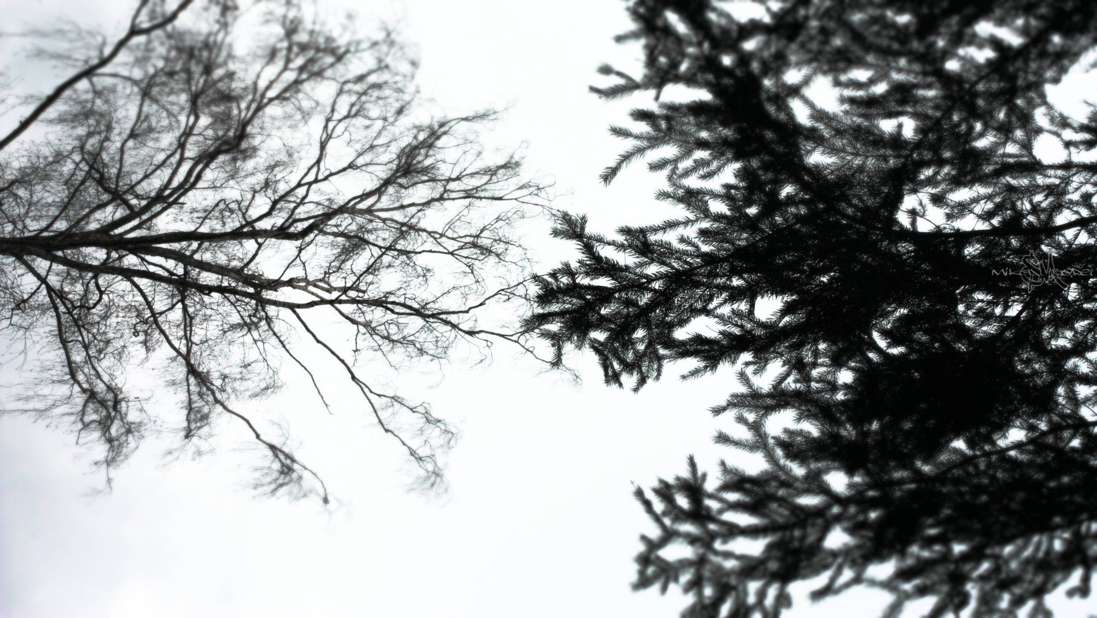 • Природа •. 𝐊𝐈𝐍𝐊. Фотография, как персональный фетиш