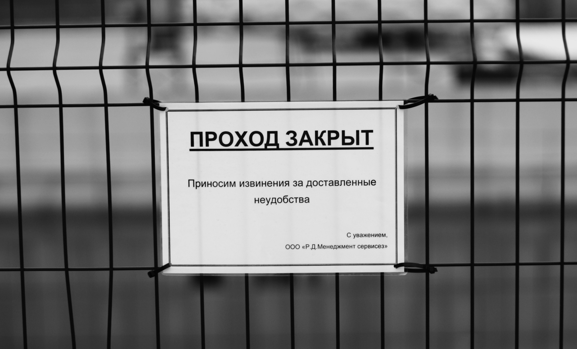 • Уличная съёмка •. 𝐊𝐈𝐍𝐊. Фотография, как персональный фетиш