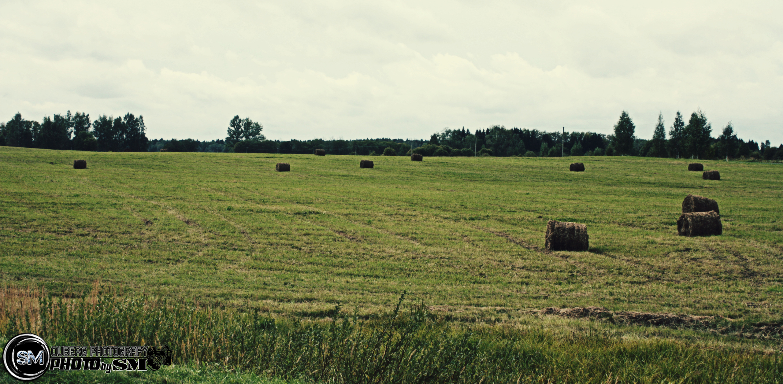 • Природа •. 𝐊𝐈𝐍𝐊. Фотография, как персональный фетиш