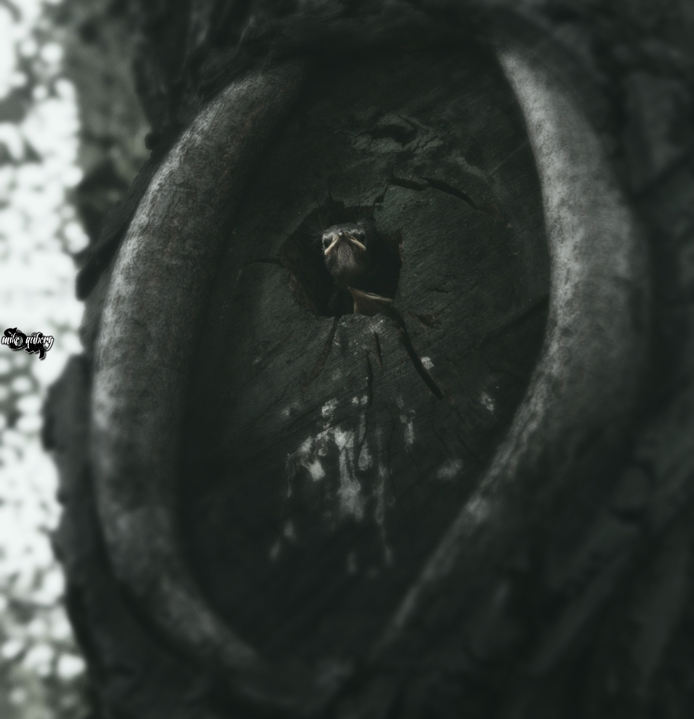 • Природа •. 𝐊𝐈𝐍𝐊. Фотография, как персональный фетиш