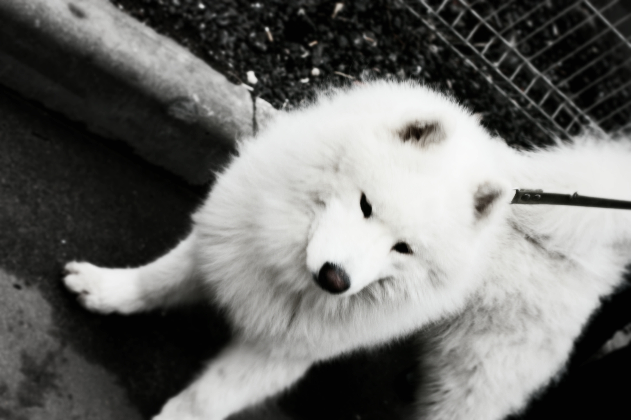 • Уличная съёмка •. 𝐊𝐈𝐍𝐊. Фотография, как персональный фетиш