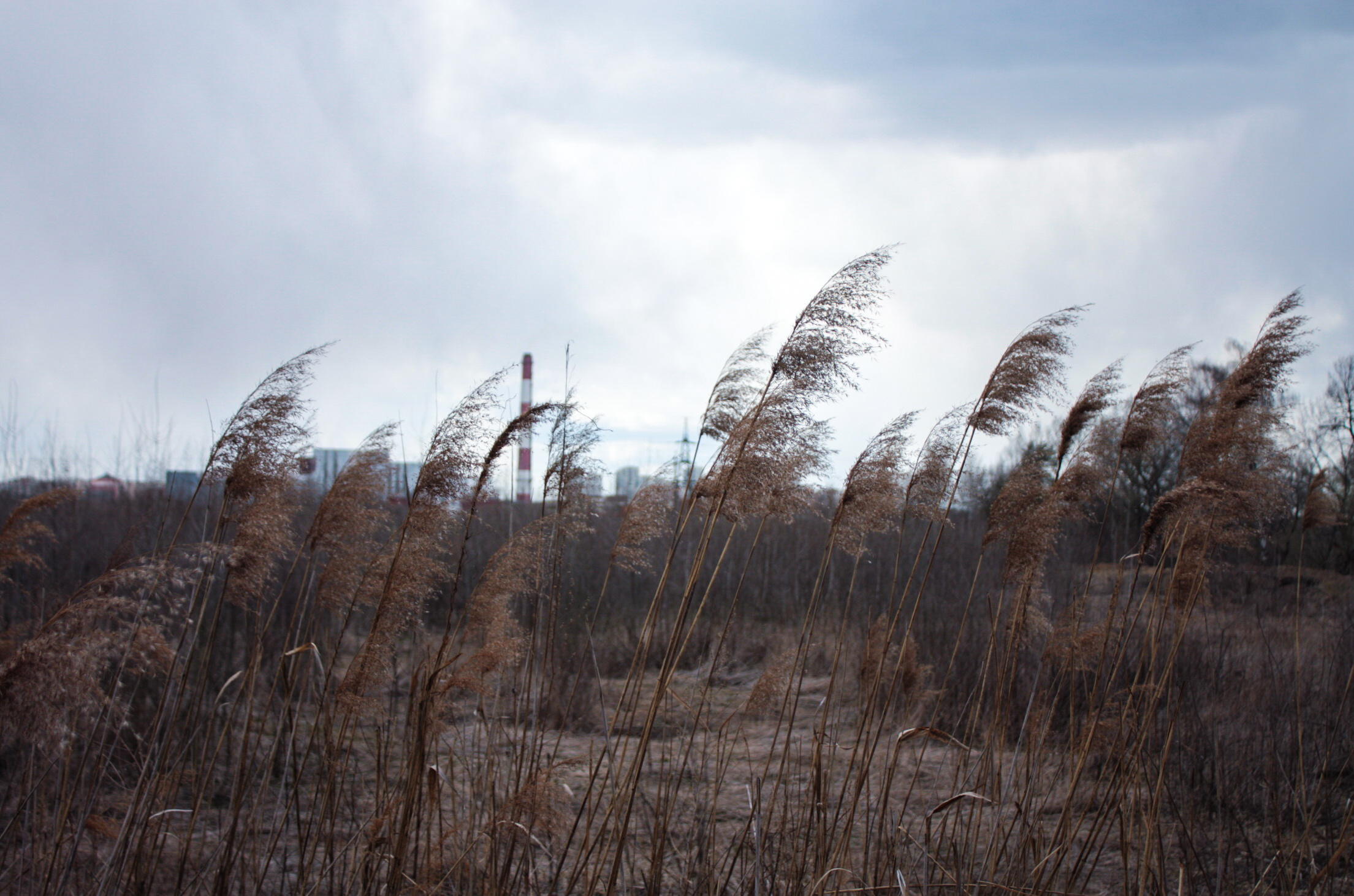 • Природа •. 𝐊𝐈𝐍𝐊. Фотография, как персональный фетиш