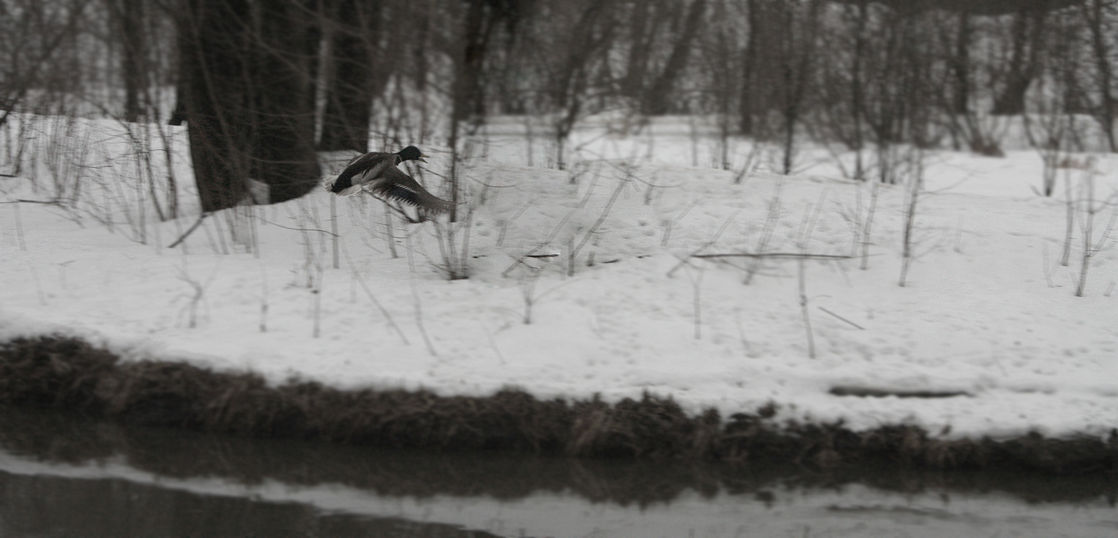 • Уличная съёмка •. 𝐊𝐈𝐍𝐊. Фотография, как персональный фетиш