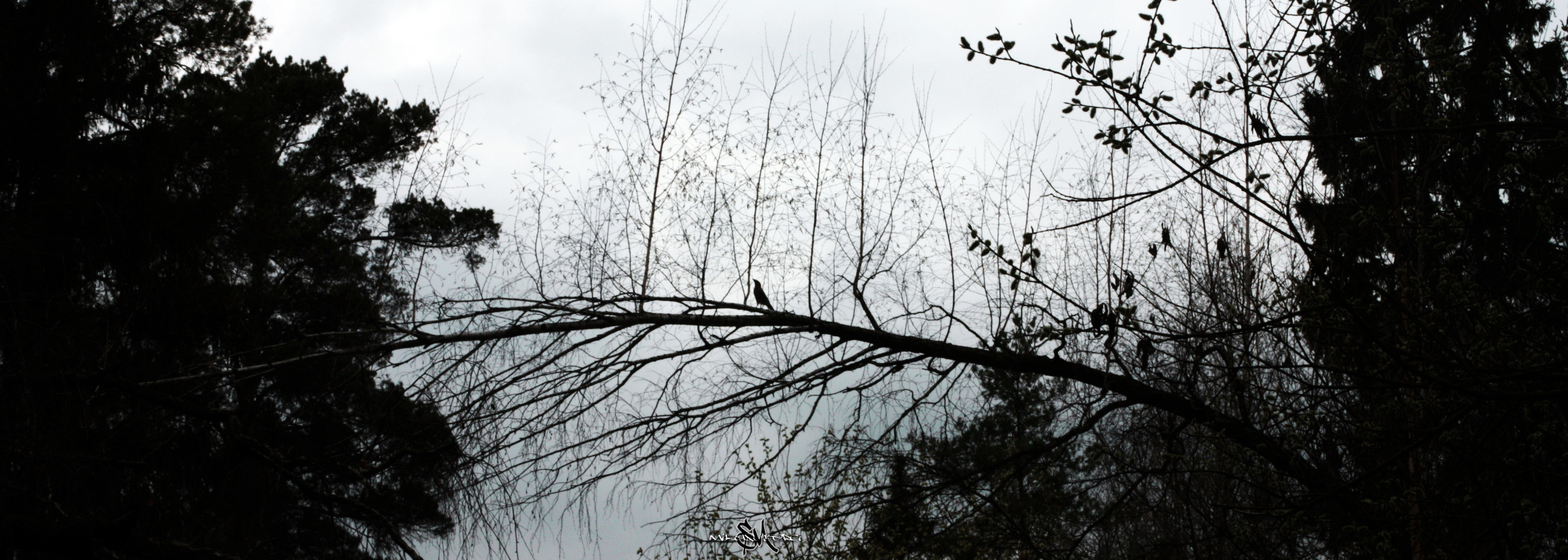 • Природа •. 𝐊𝐈𝐍𝐊. Фотография, как персональный фетиш