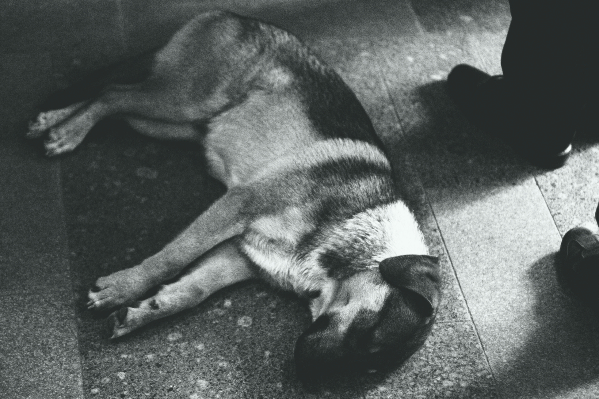 • Уличная съёмка •. 𝐊𝐈𝐍𝐊. Фотография, как персональный фетиш