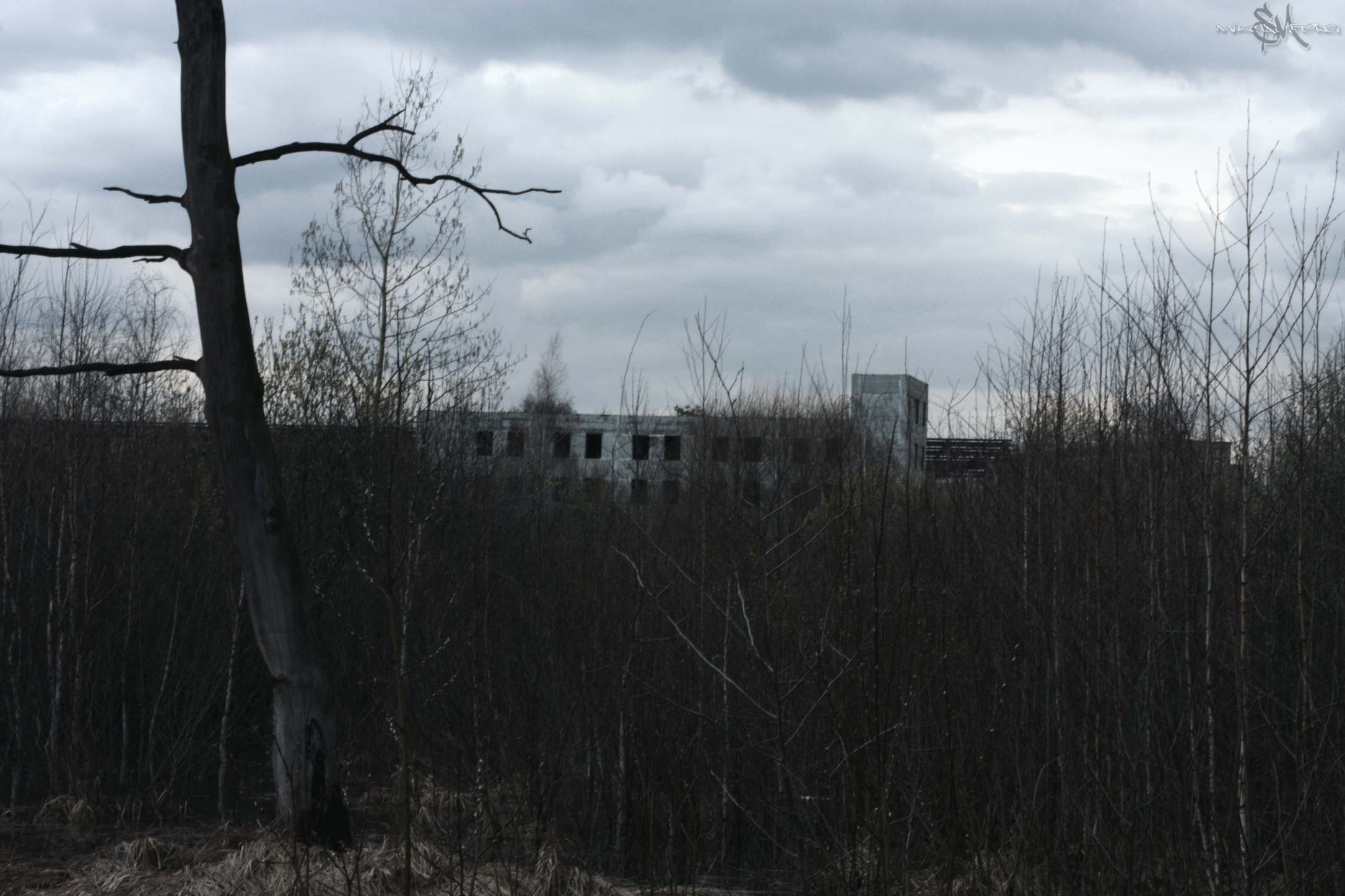 • Природа •. 𝐊𝐈𝐍𝐊. Фотография, как персональный фетиш