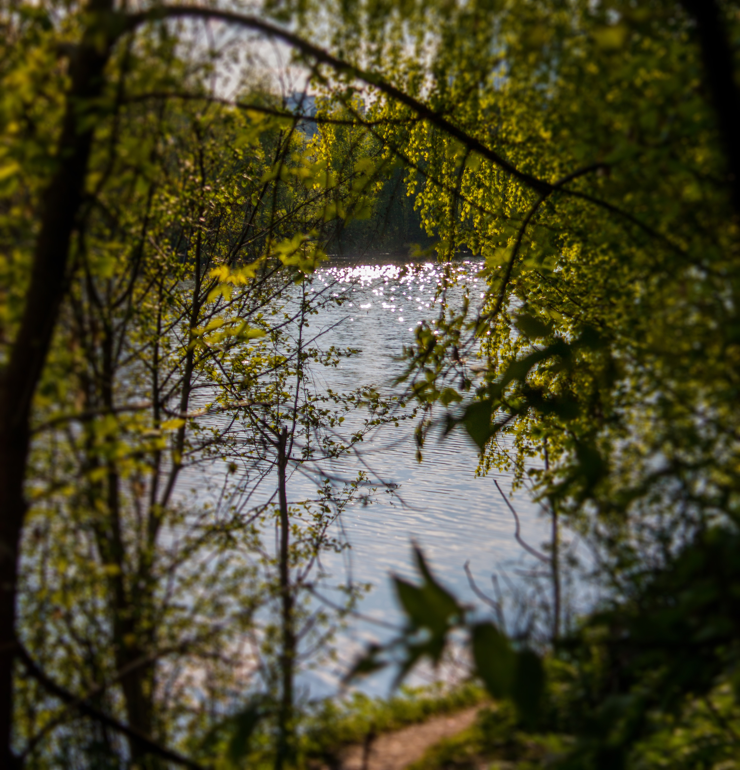 • Природа •. 𝐊𝐈𝐍𝐊. Фотография, как персональный фетиш