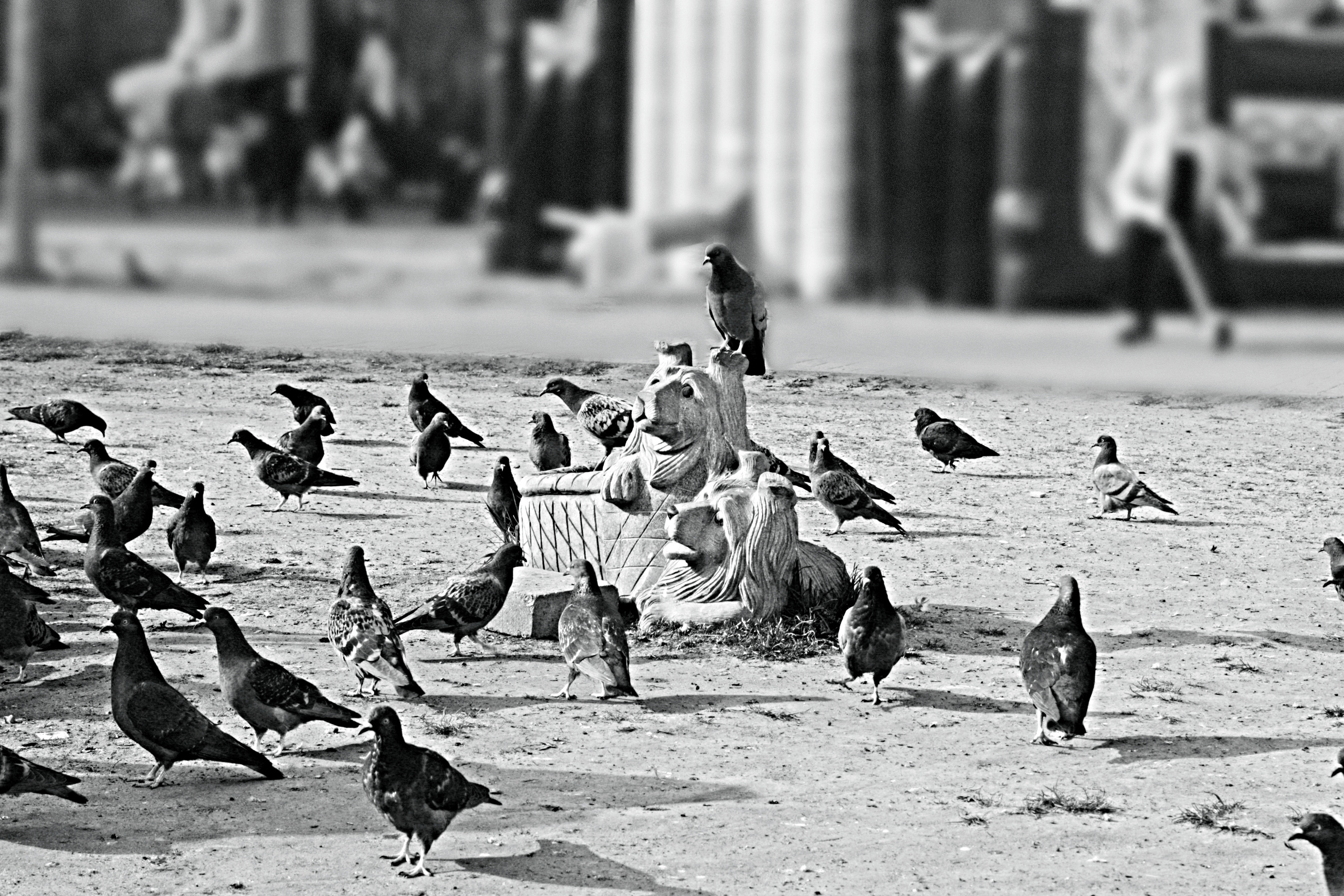 • Уличная съёмка •. 𝐊𝐈𝐍𝐊. Фотография, как персональный фетиш