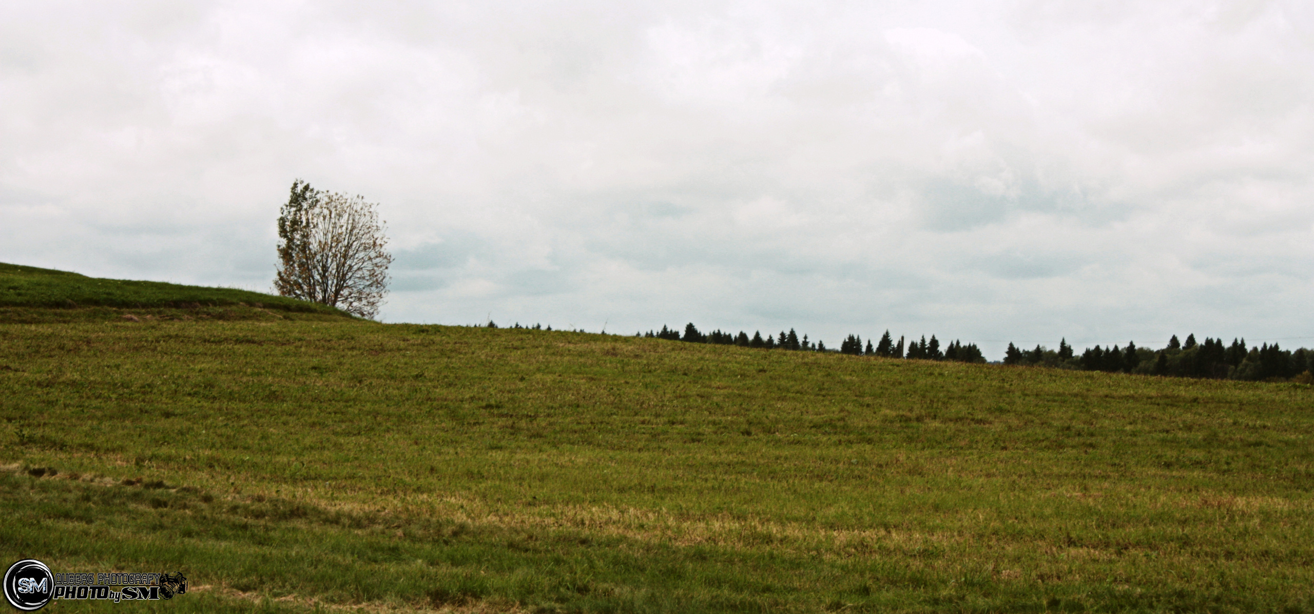 • Природа •. 𝐊𝐈𝐍𝐊. Фотография, как персональный фетиш