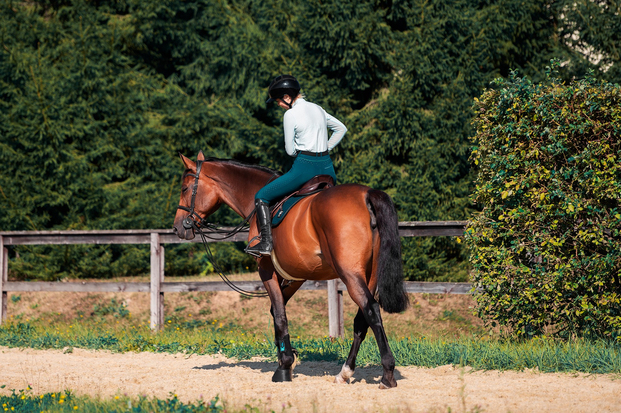 Тренировки. Конный фотограф Alesya Safe