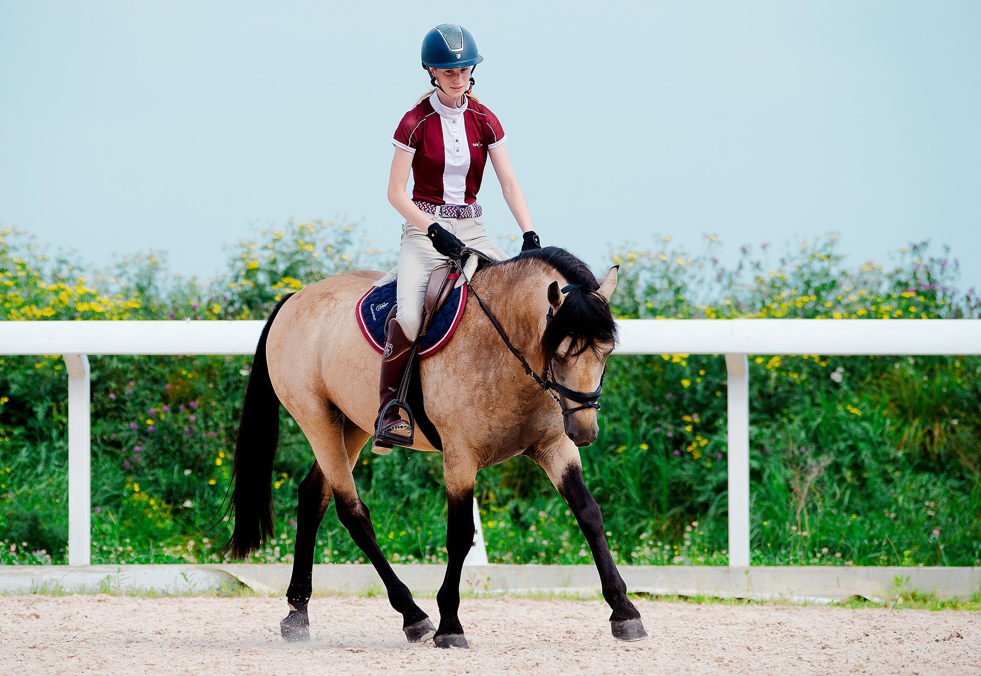 Тренировки. Конный фотограф Alesya Safe