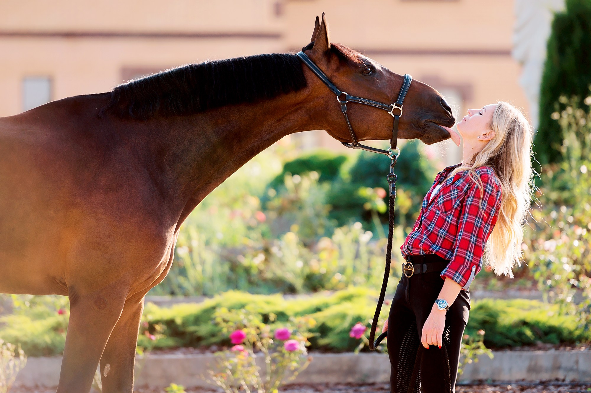 Частные съемки_фото. Конный фотограф Alesya Safe