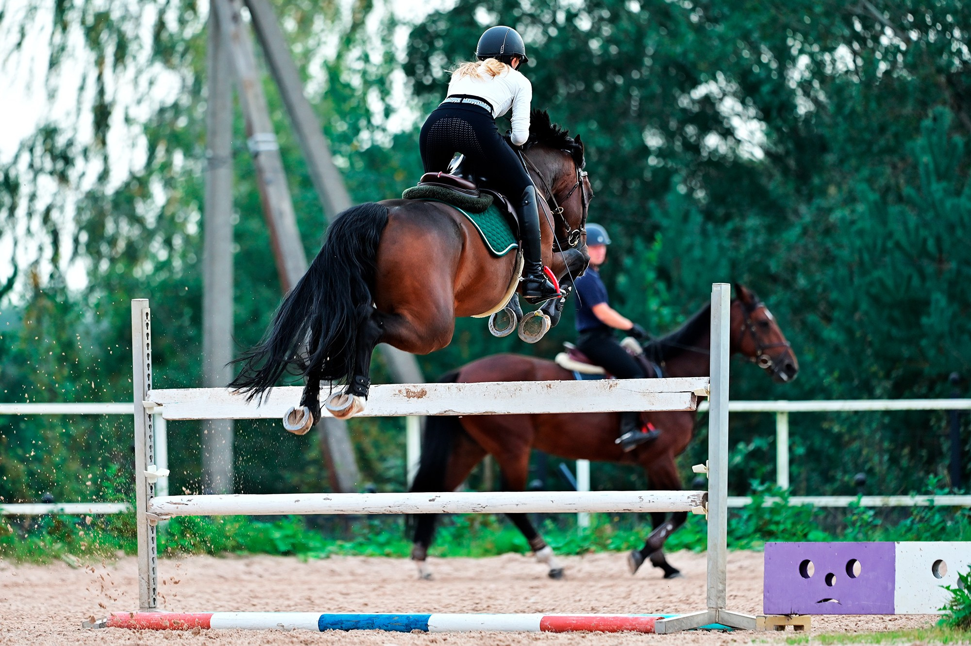 Тренировки. Конный фотограф Alesya Safe