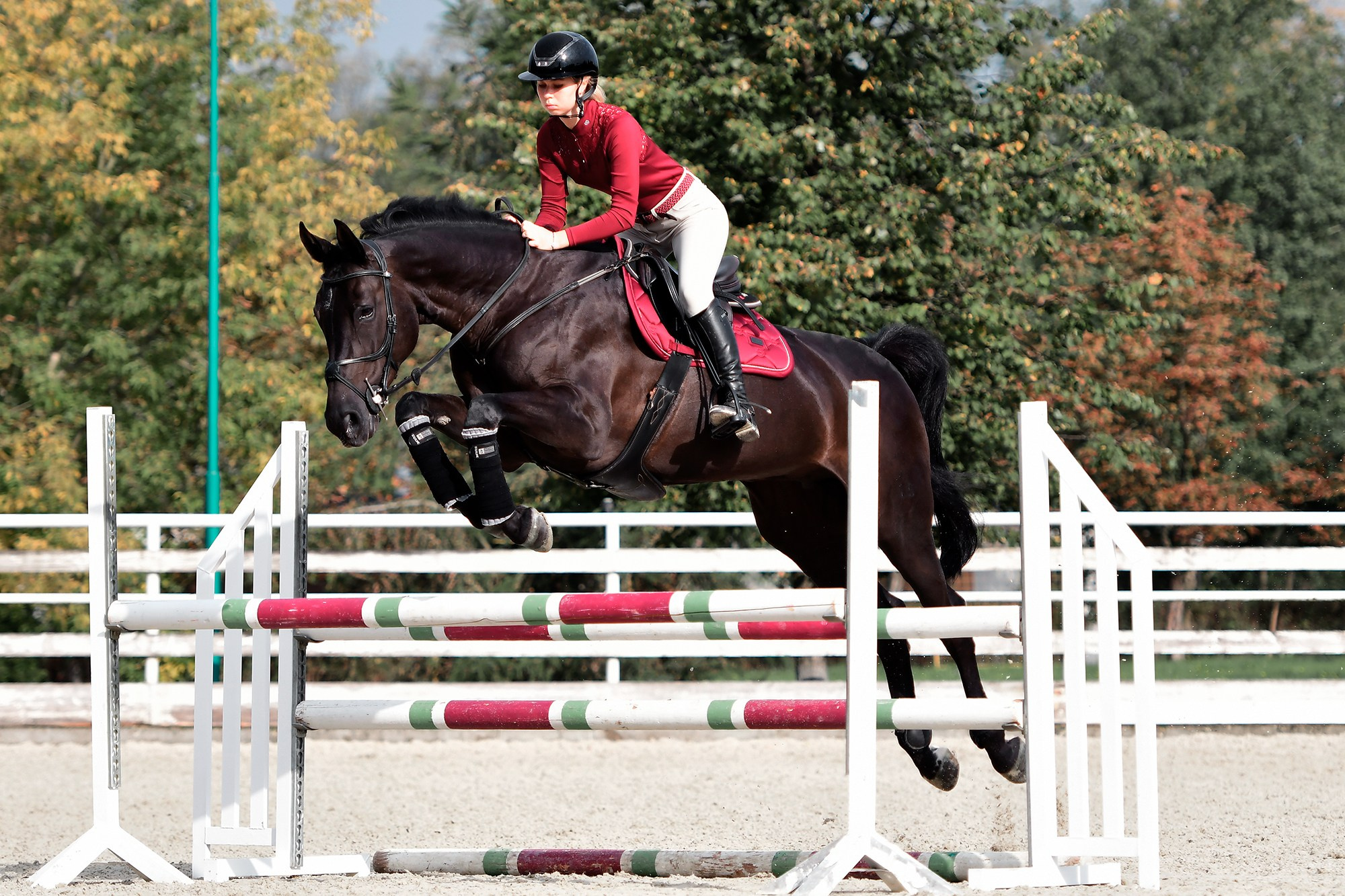 Тренировки. Конный фотограф Alesya Safe