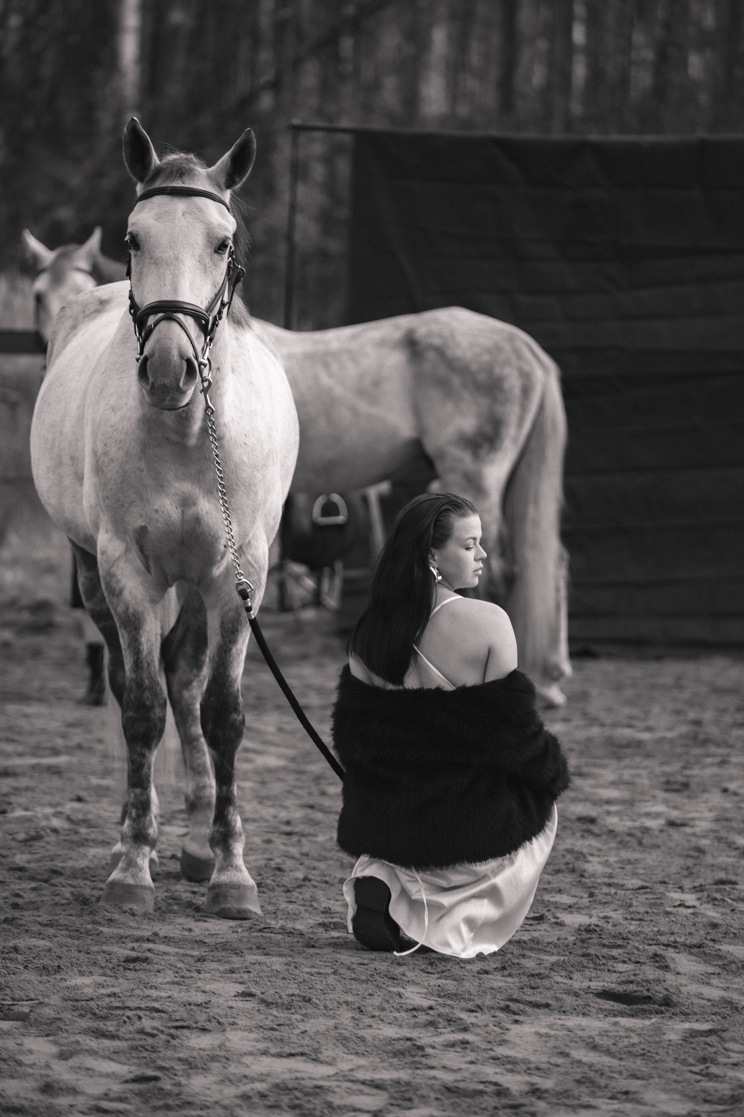 Проект DEFILE. Конный фотограф в Санкт-Петербурге Анна Лебедева
