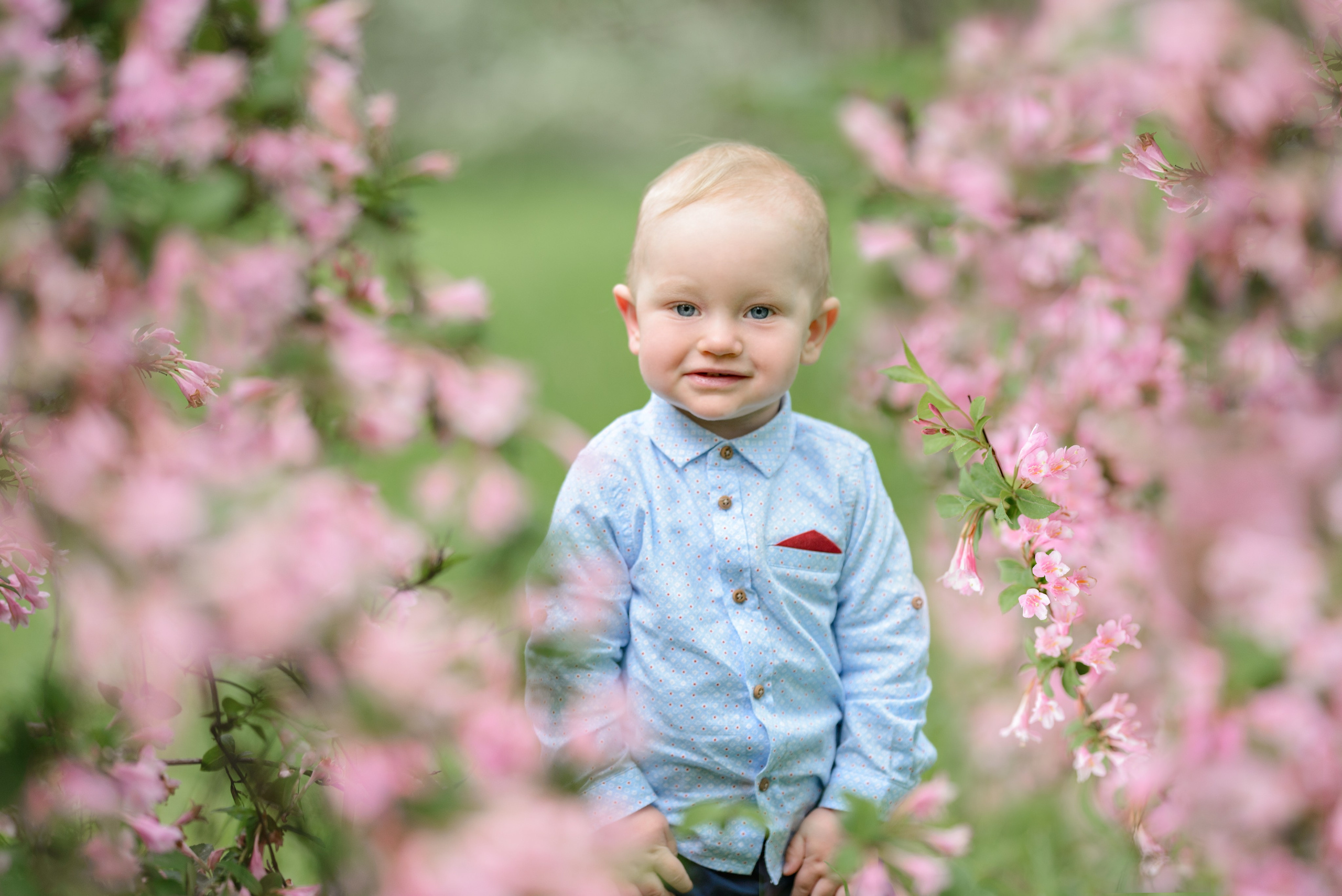 Семья Анастасии в Ботаническом саду