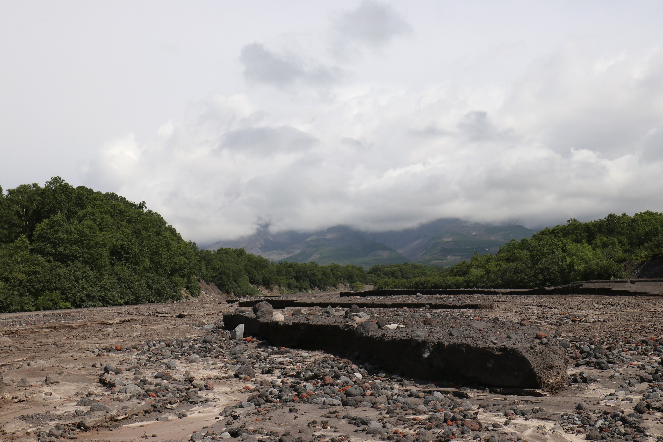 Камчатка и о. Парамушир. Июль 2024. Путешественник-фотограф из Санкт-Петербурга Татьяна Свистулина