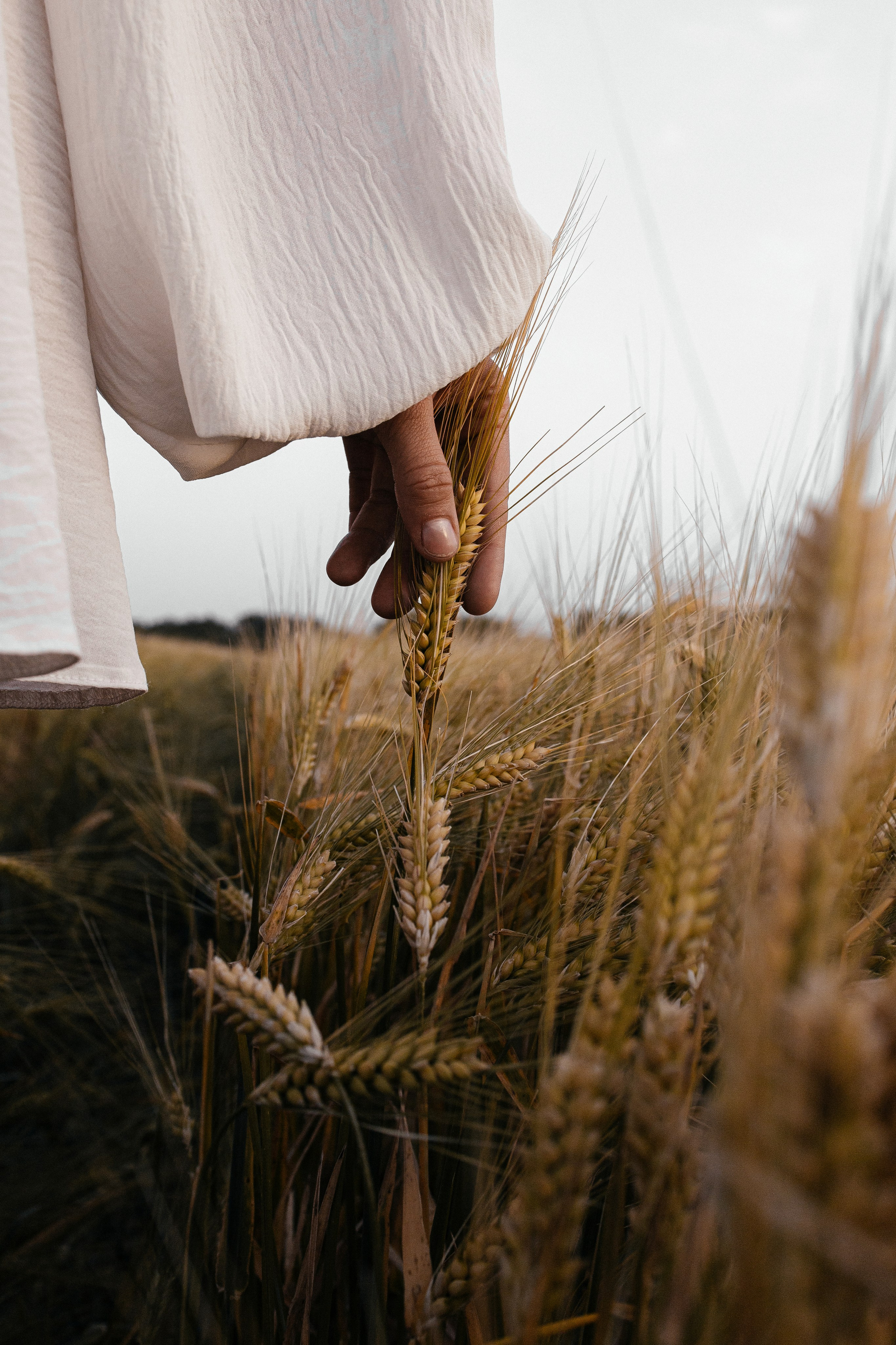 Фотосессия в поле. Фотограф в Краснодаре Лагунов Владимир