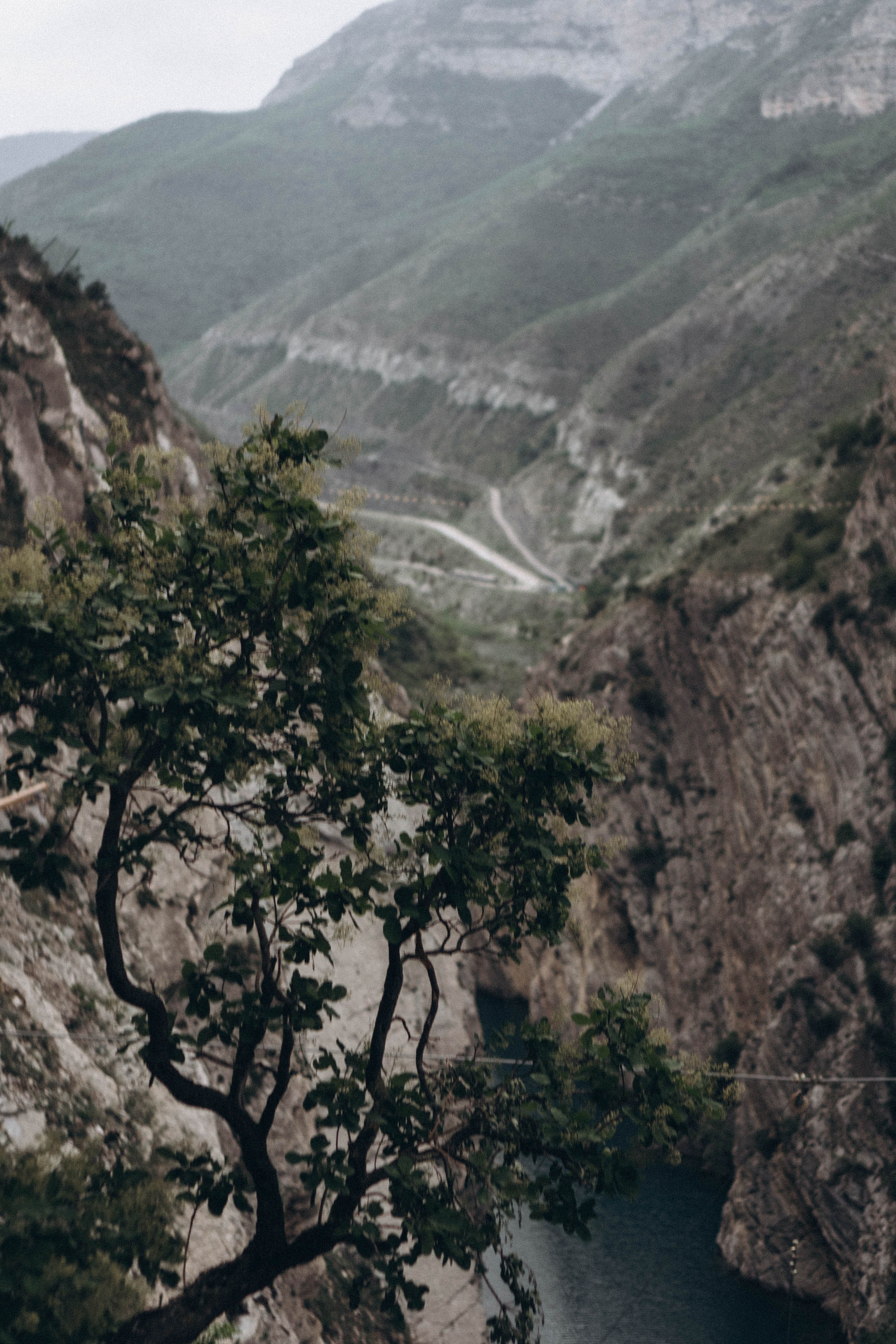 Кавказ. Профессиональный фотограф, Санкт-Петербург — Виктория Богомолова