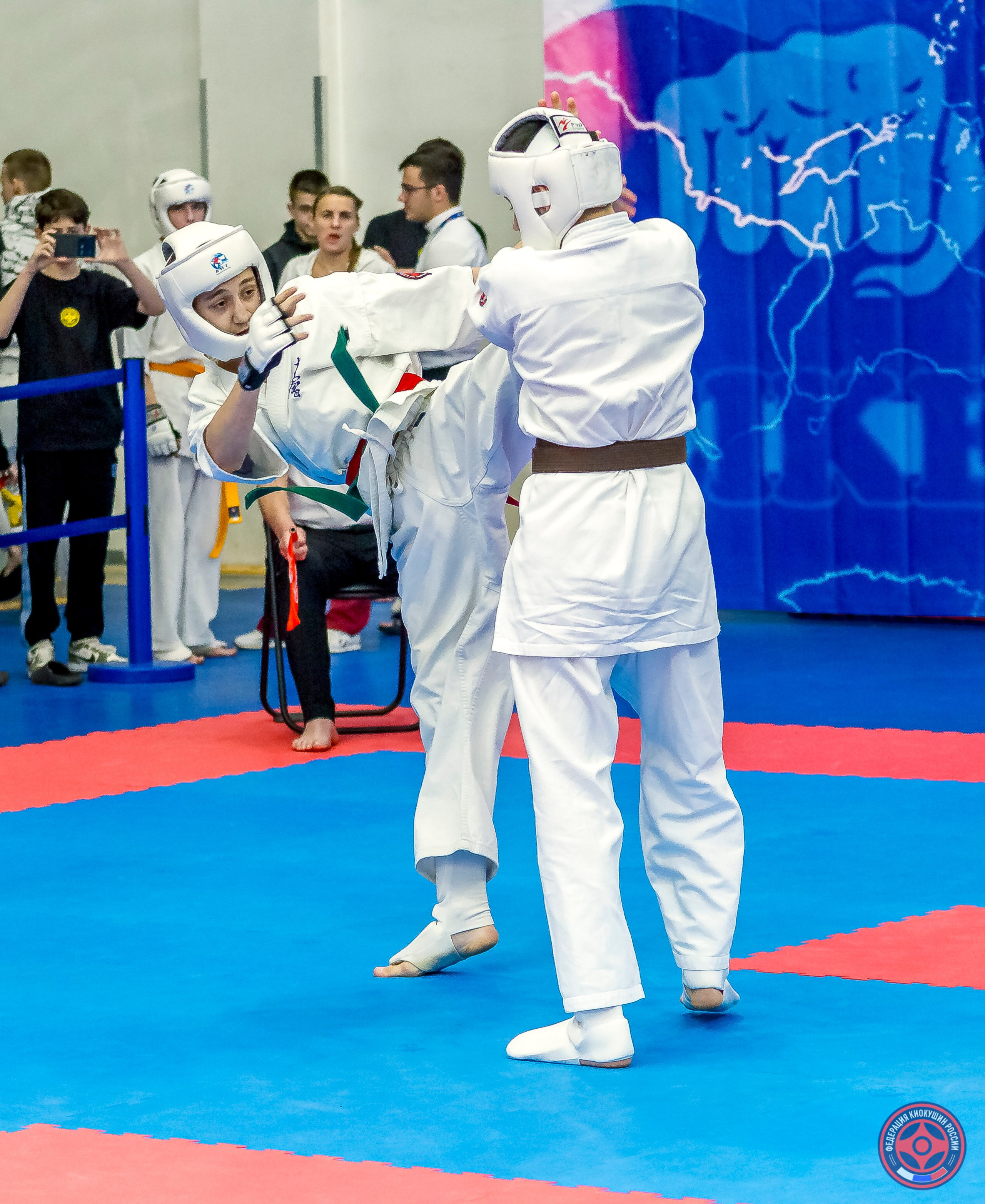 Международный турнир по киокушин «Открытый кубок Seiken». Репортажная съемка в Москве и области. Анималистика