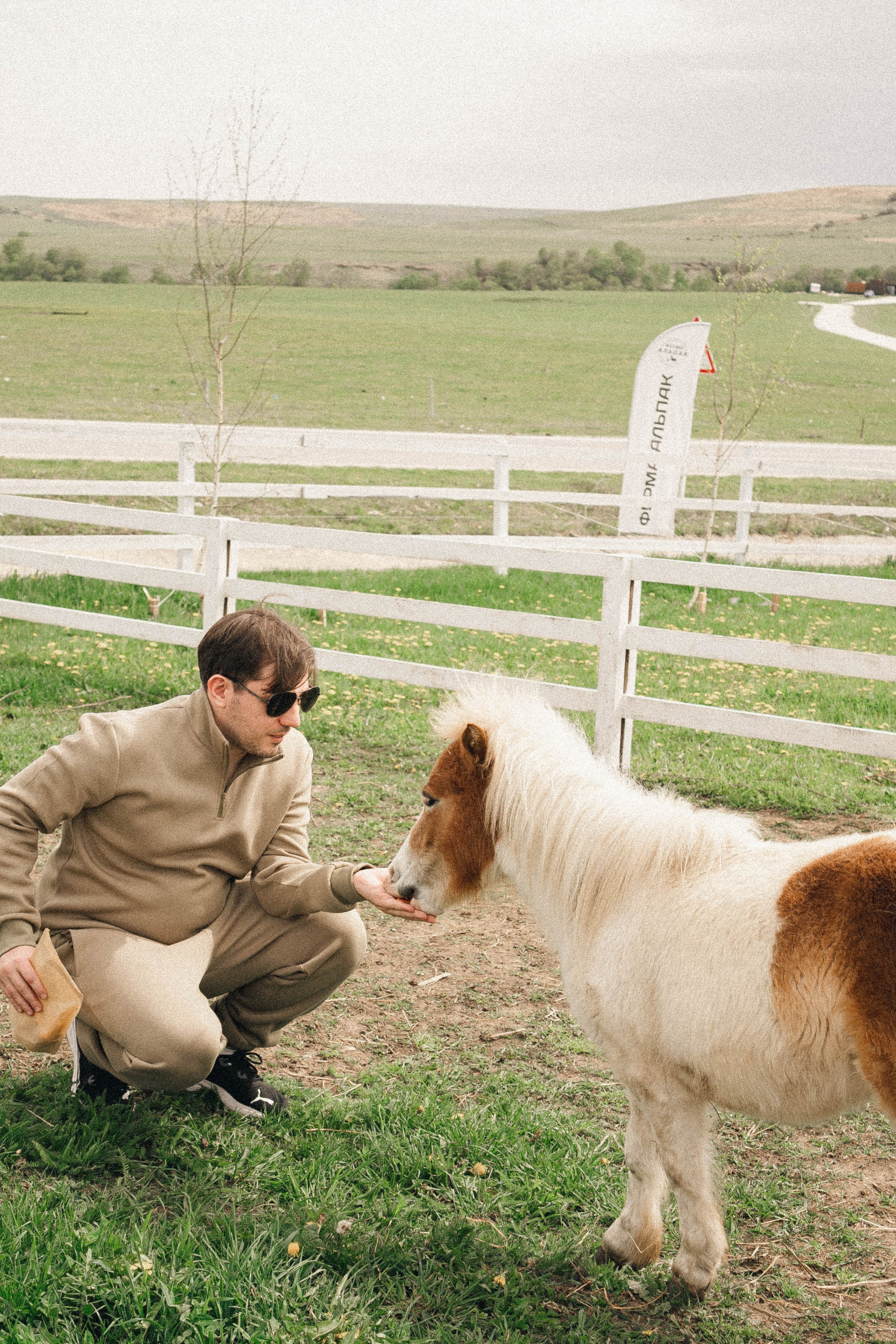 Ферма Альпак. Профессиональный фотограф, Санкт-Петербург — Виктория Богомолова